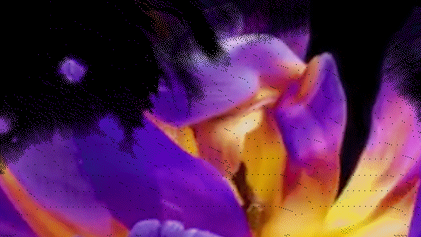 8.png