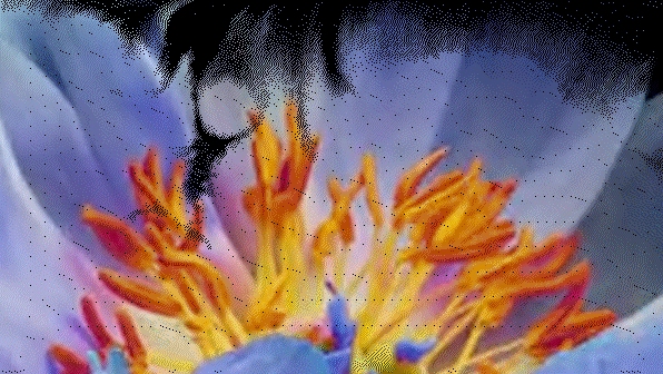 9.png
