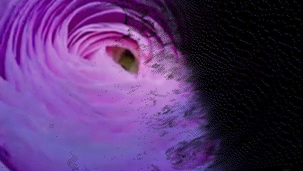 12.png