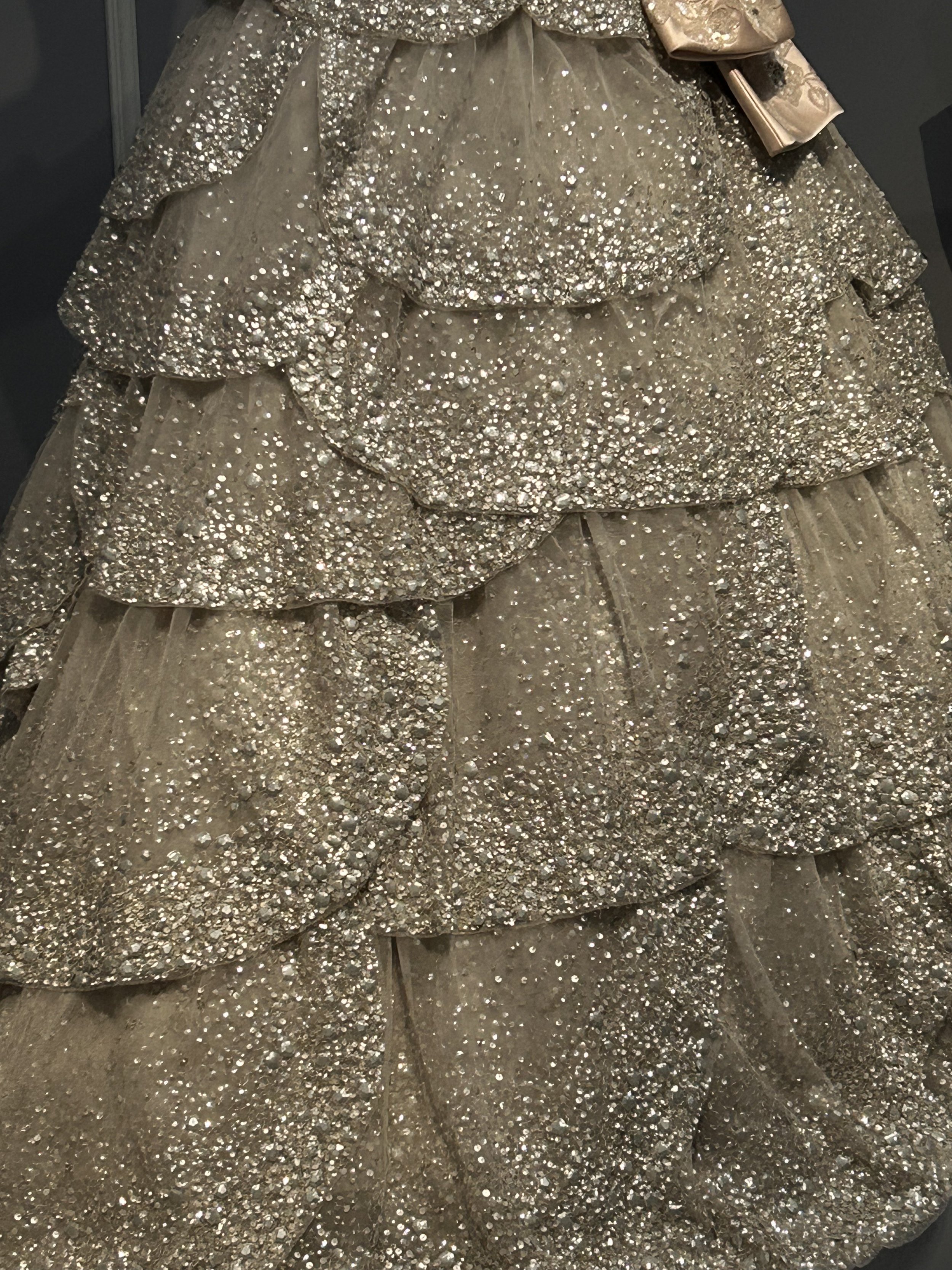 Dior.sparkle.gown2.jpeg