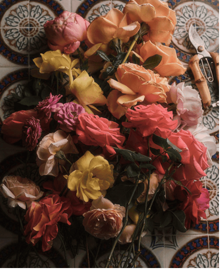 roses.png