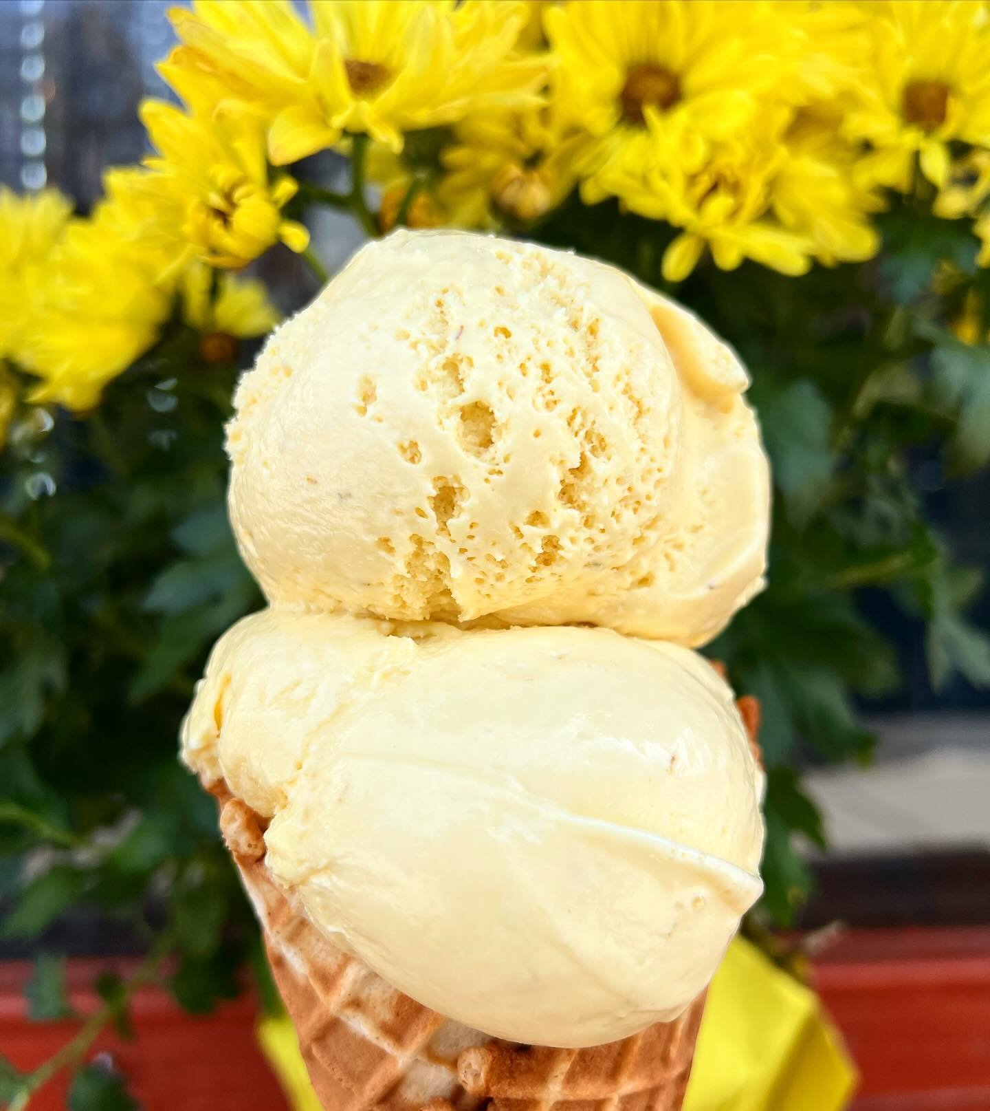 Another flavor that we are in loooove with&hellip;

🌼CHAMOMILE HONEY🍯

This is truly a scoop of sunshine. For everyone out there who loves a honey sweetened cup of chamomile tea, you are going to need to try this&hellip;💗