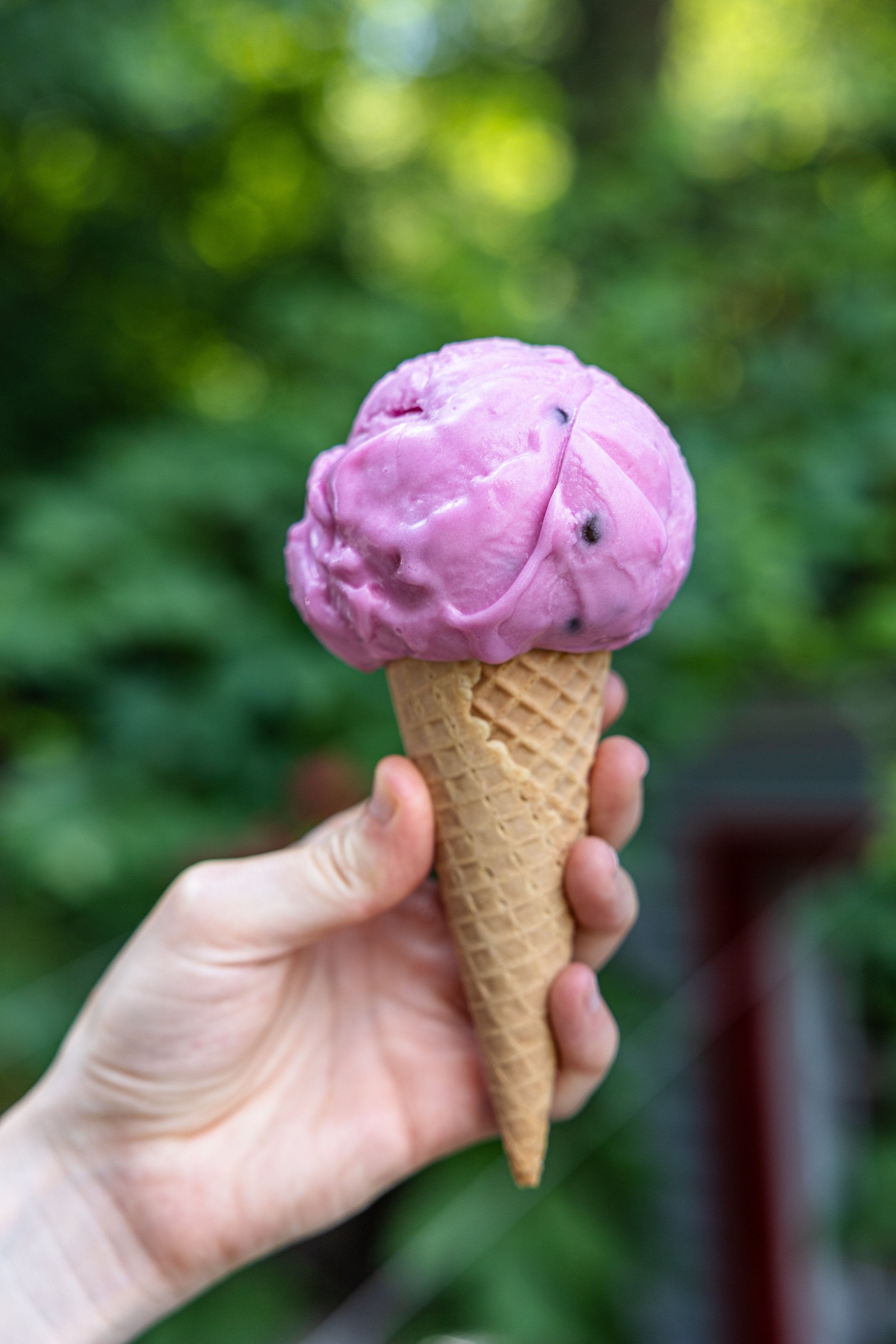 WATERMELON CHIP SHERBET