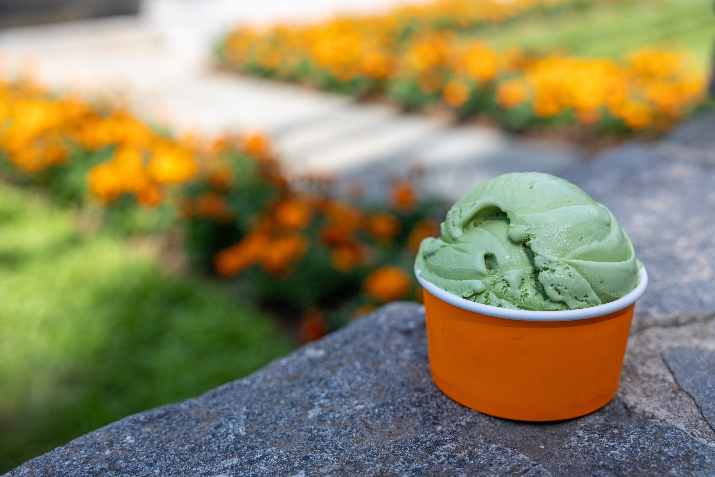 GREEN TEA