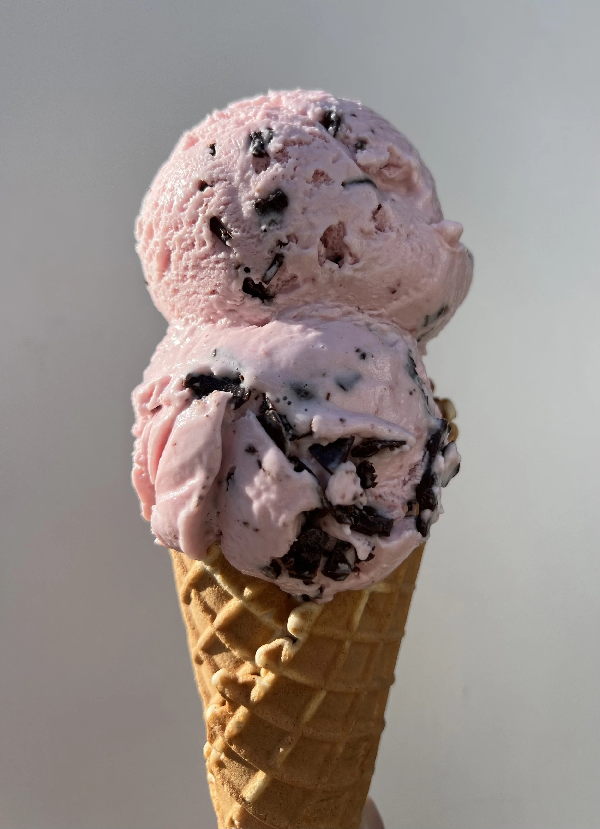 seasonal-flavors-honeycone-craft-ice-cream