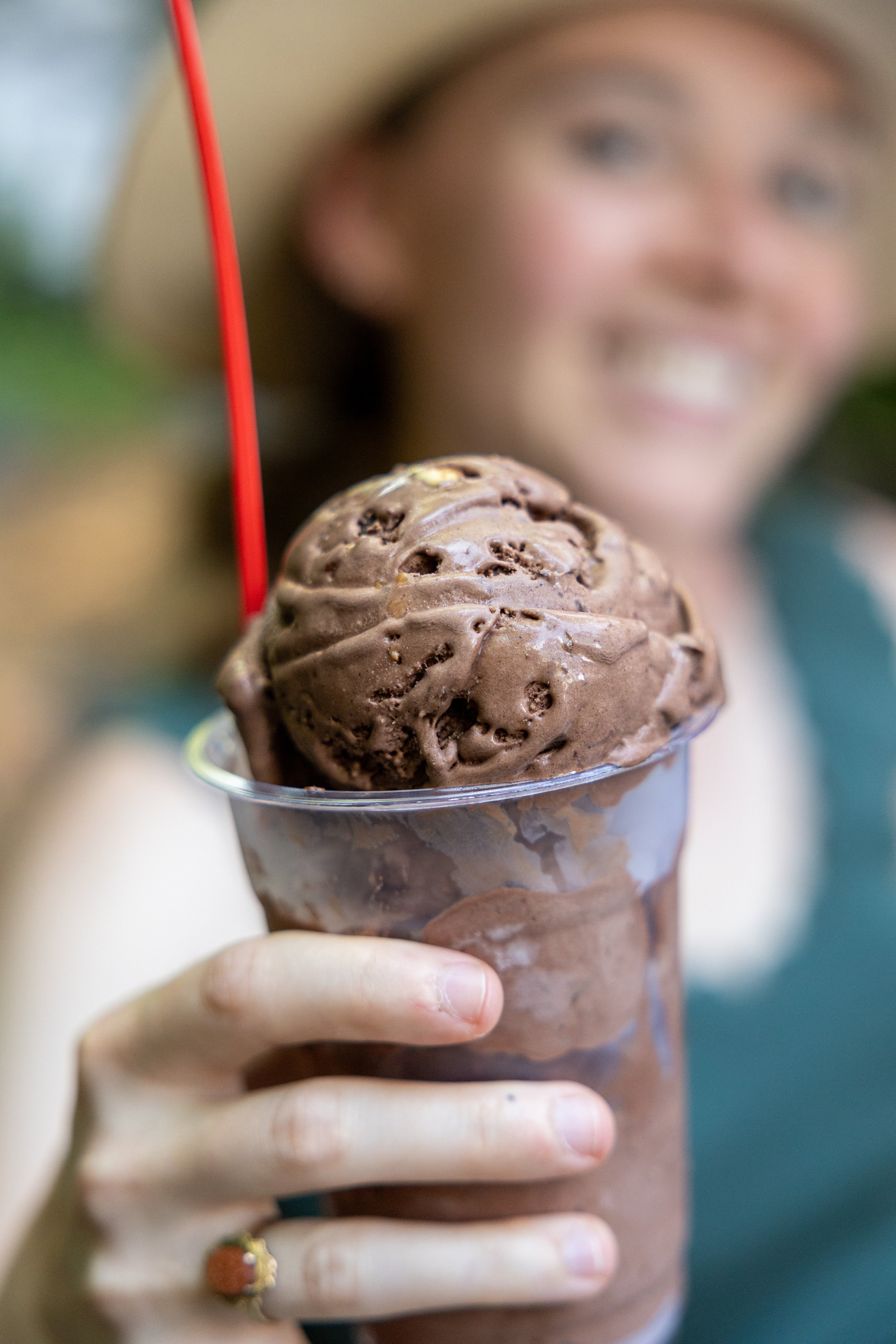 VEGAN CHOCOLATE ALMOND CHIP (coconut milk)