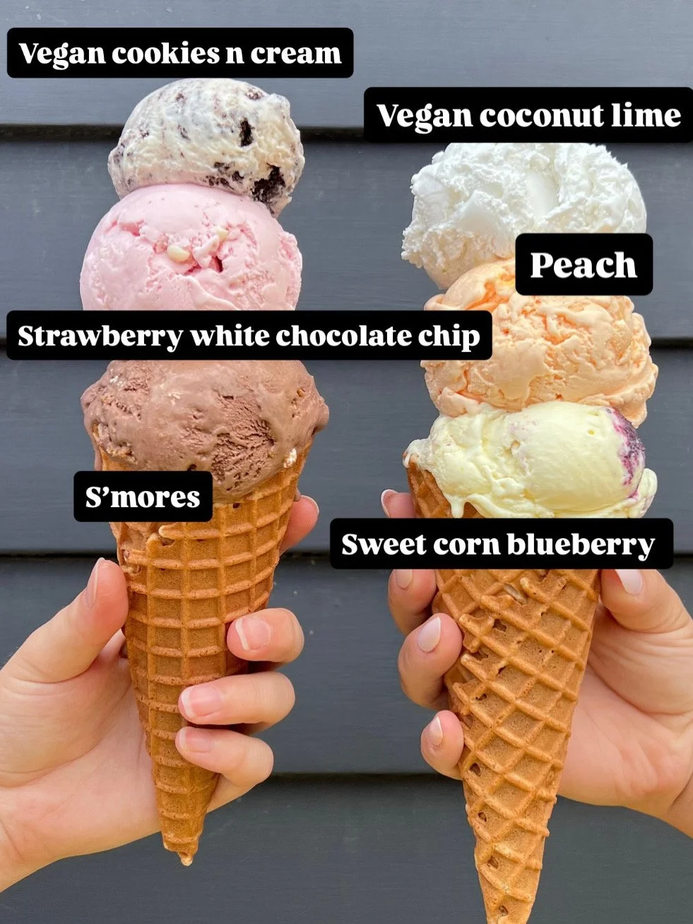 AUGUST SPECIALS! vegan cookies n cream / vegan coconut lime / strawberry white chocolate chip / peach / s'mores / sweet corn blueberry