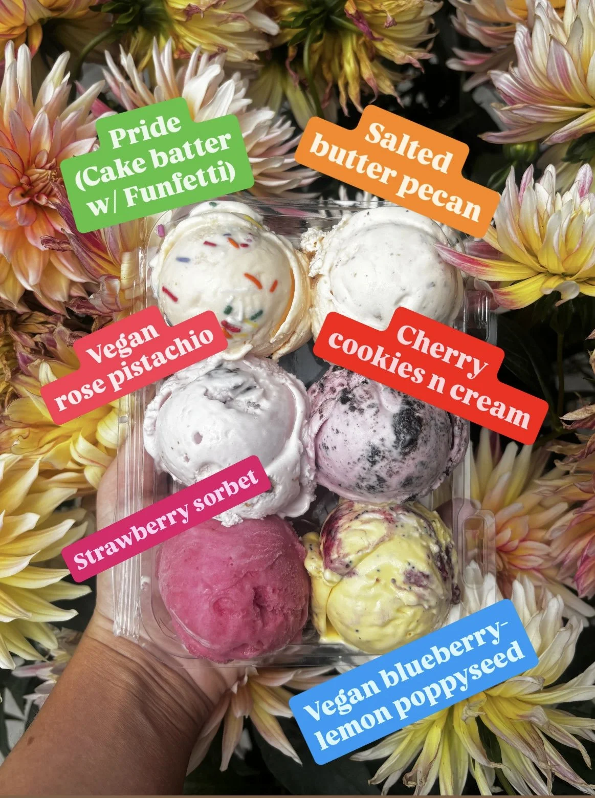 JUNE SPECIALS!

Pride (cake batter with Funfetti cake and sprinkles)

Salted butter pecan

Vegan rose pistachio

Cherry cookies n cream

Strawberry sorbet

Vegan blueberry-lemon poppyseed