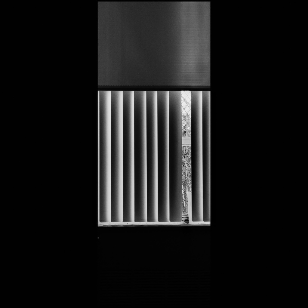 image_original_.png