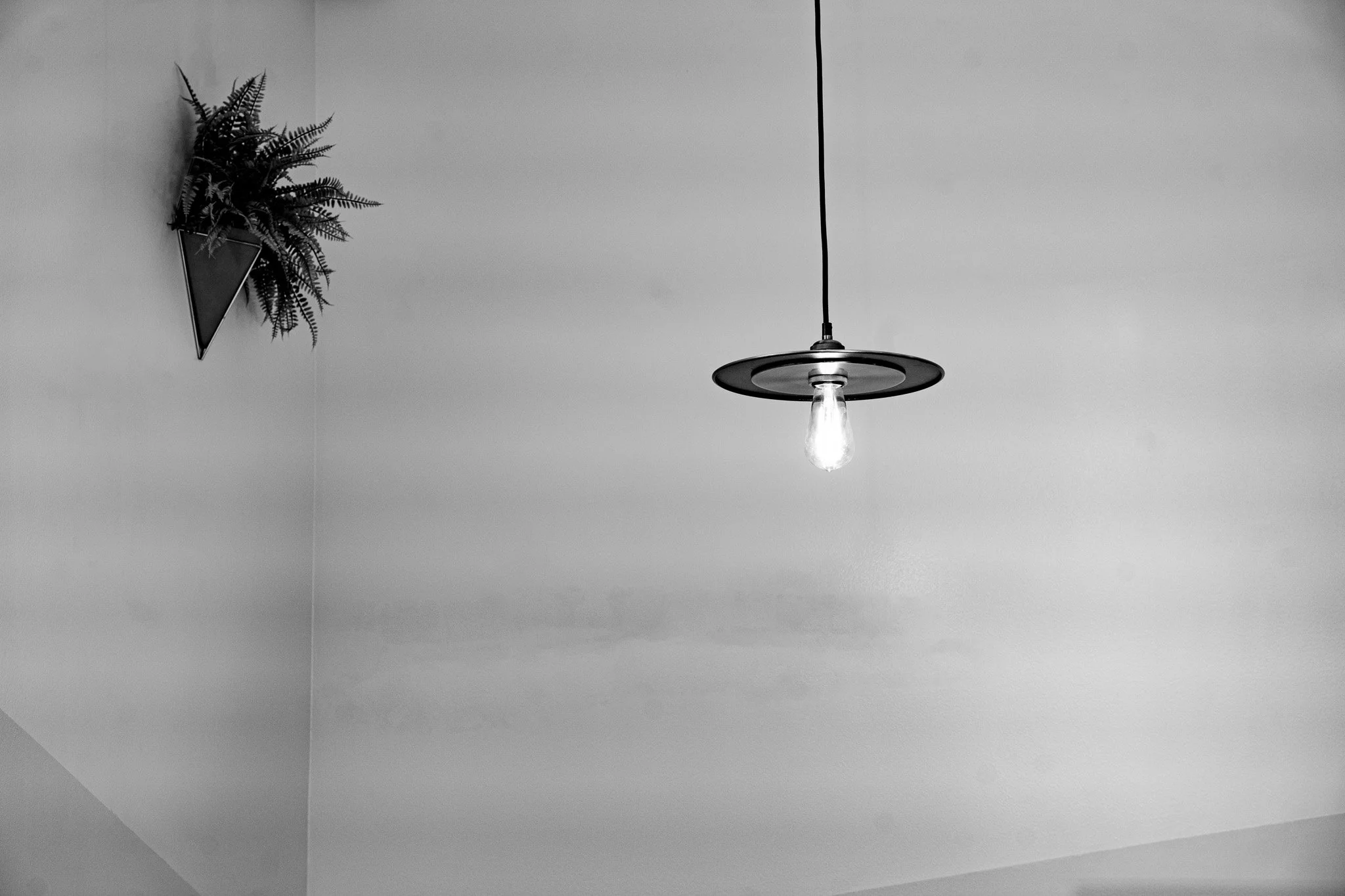 The Lightbulb: When Evolution Is A Record Skip