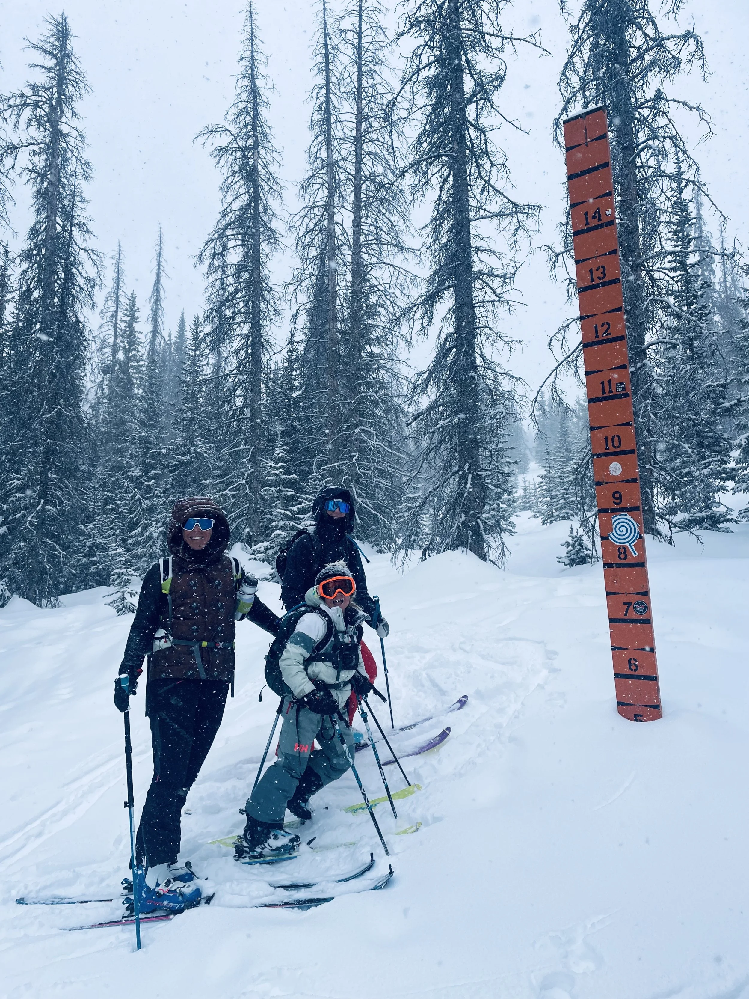 Three skiers standing in snowy forest next to a tall snow depth marker.