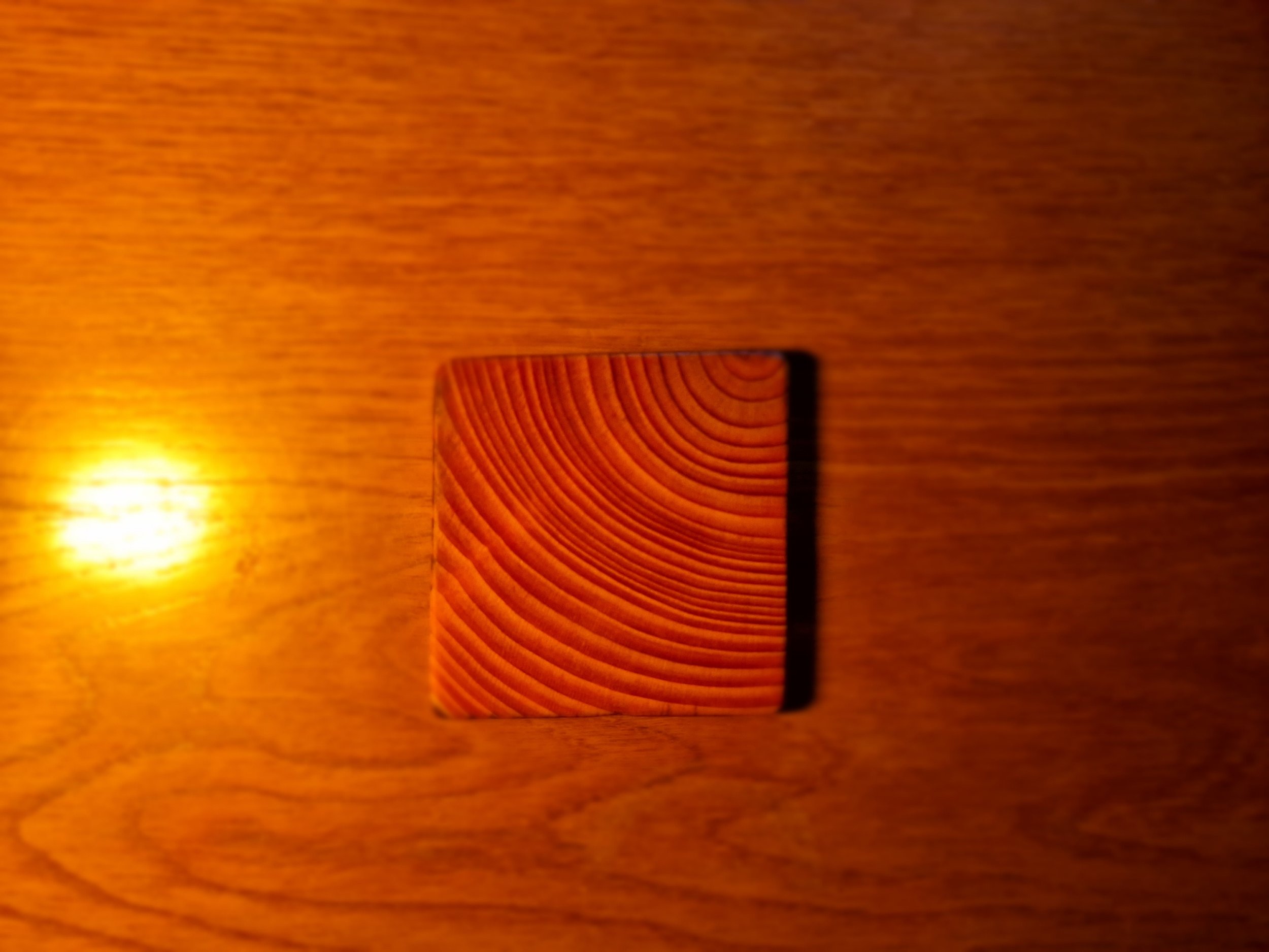 20240401_181401.jpg