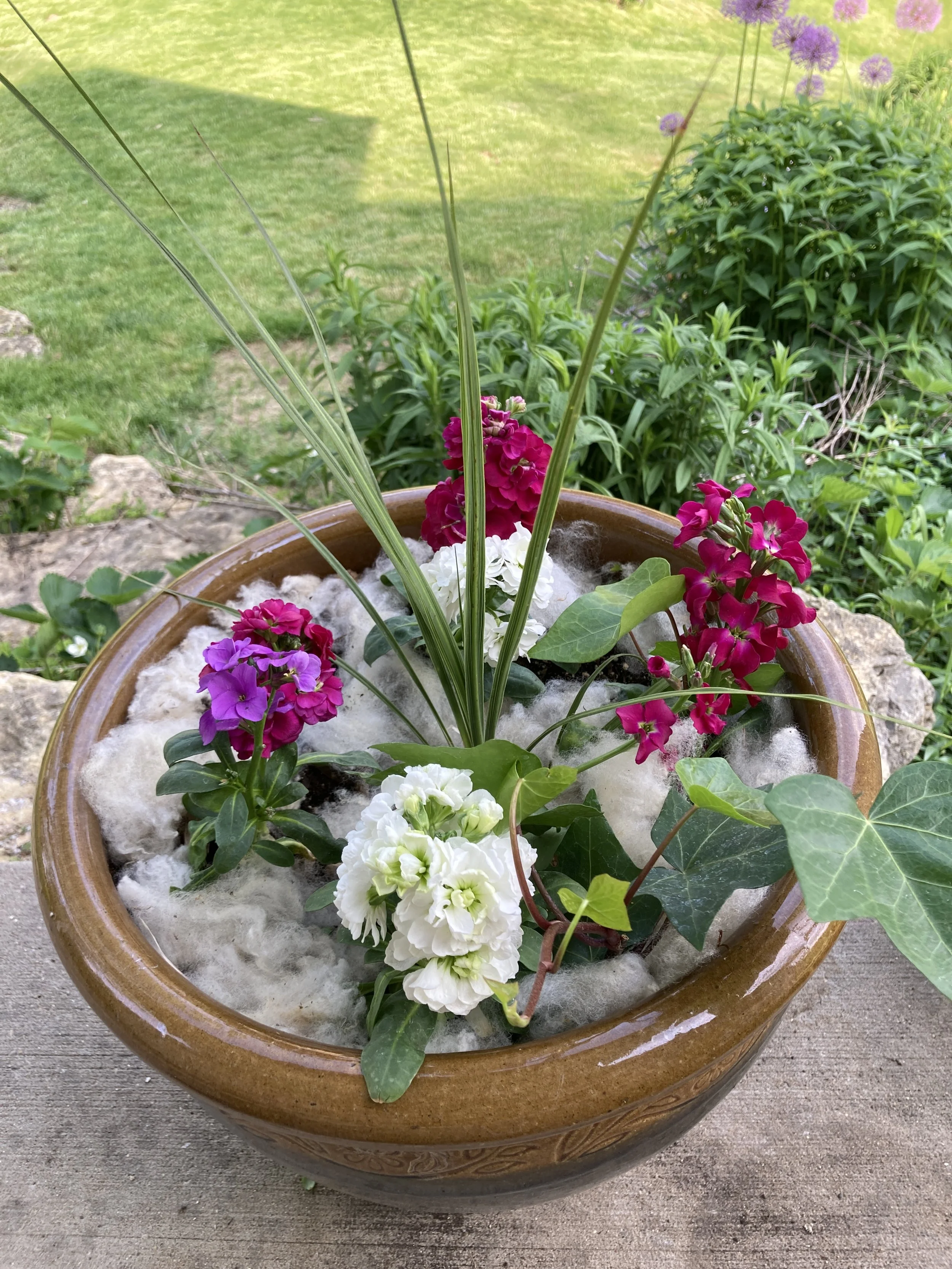 Fleece in flower pots.JPG