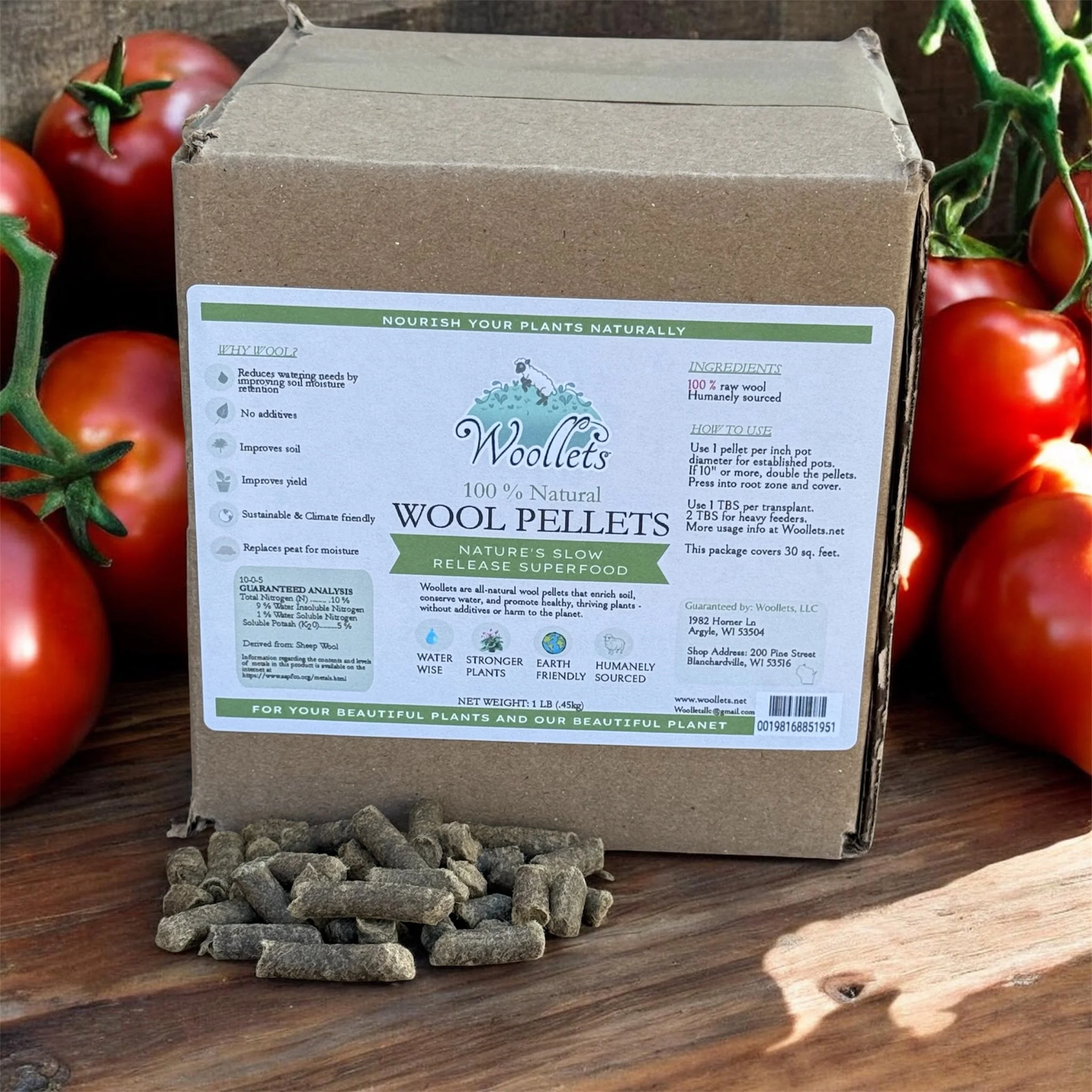1# Woollets with tomatoes .JPG