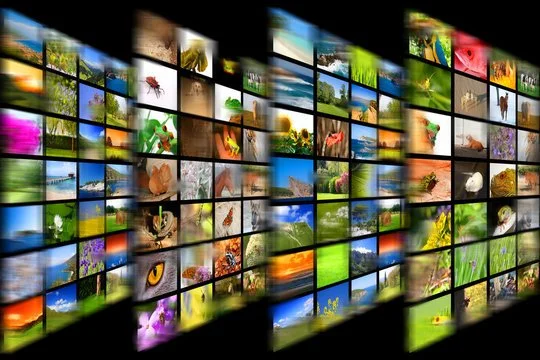 A large digital display wall featuring numerous small screens showing various nature scenes, animals, landscapes, and colorful imagery.