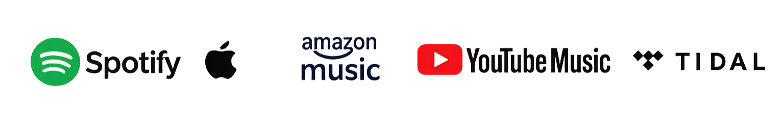 Spotify, Apple Music, Amazon Music, YouTube Music and TIDAL