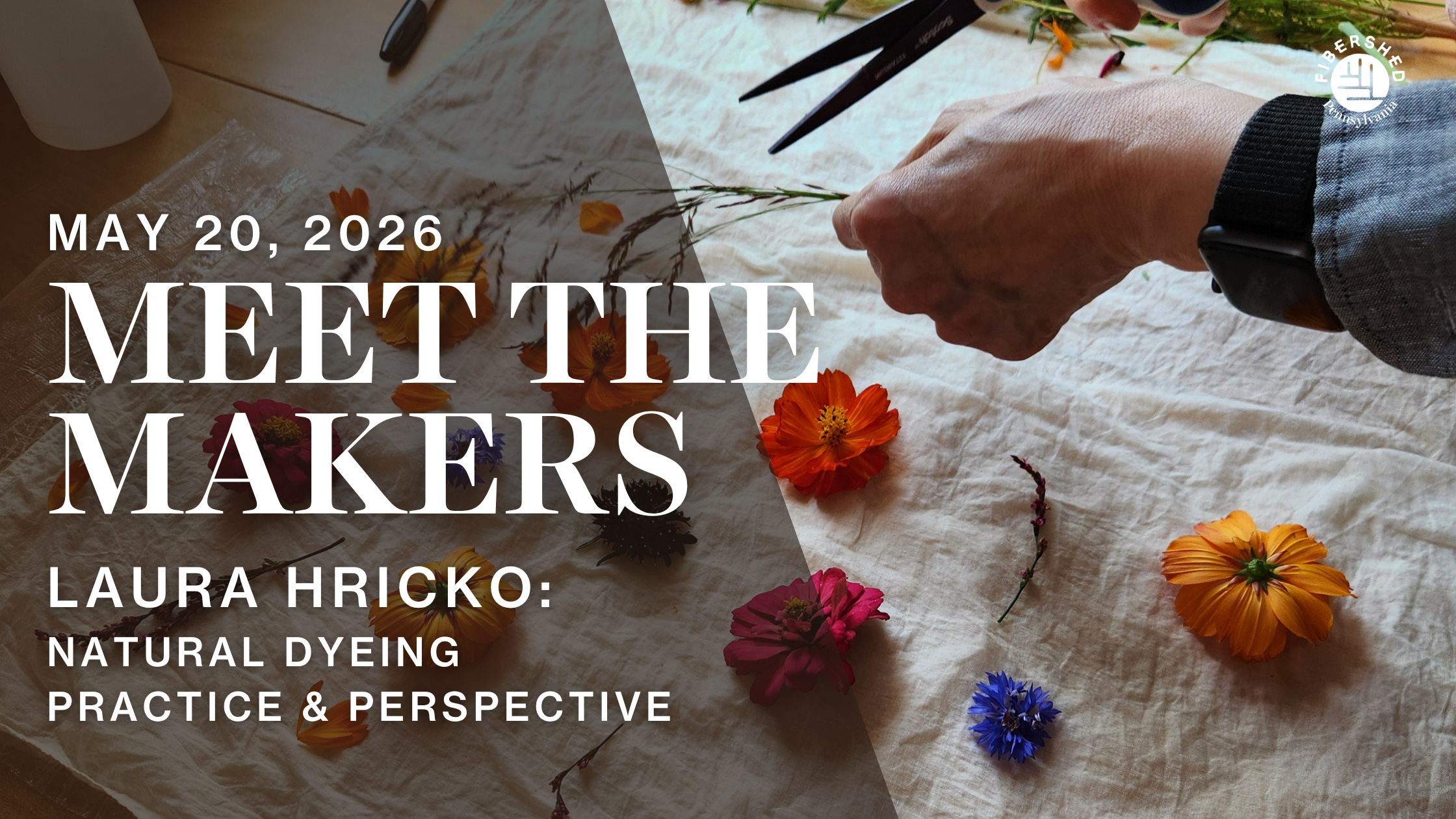 Meet the Makers: Laura Hricko: Natural Dyeing Practice &amp; Perspective
