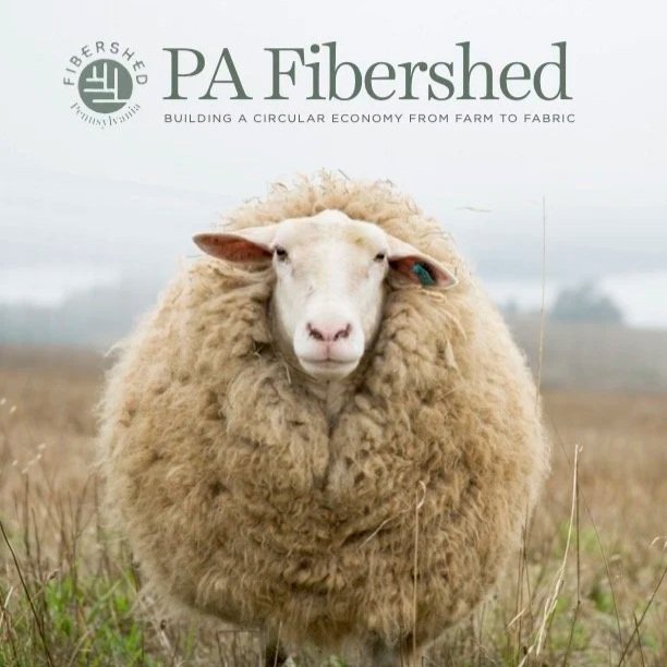 2025 Impact Report