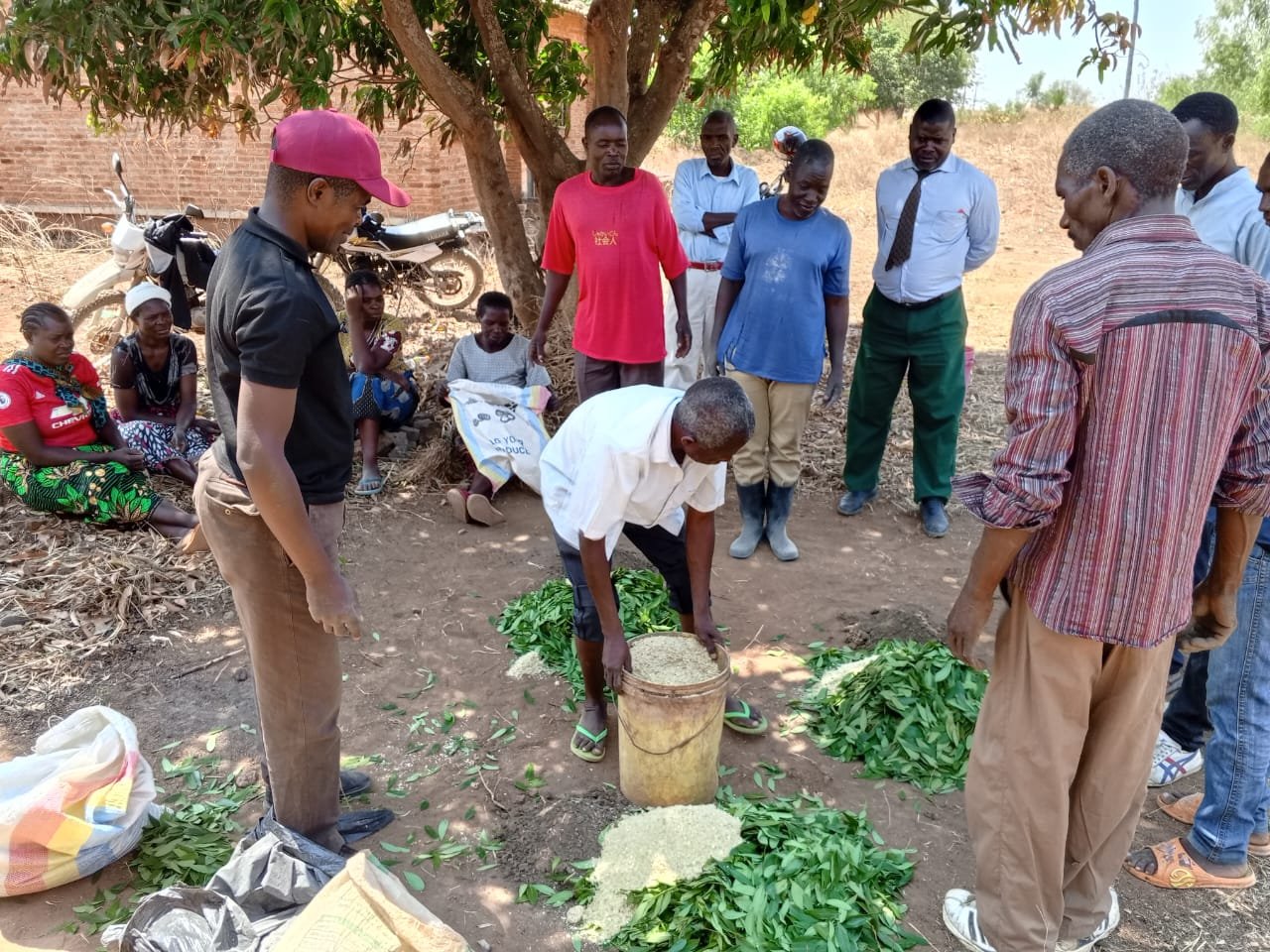 Empowering School Meals Program Committee Members in Sustainable Agriculture through Compost Manure Production Training