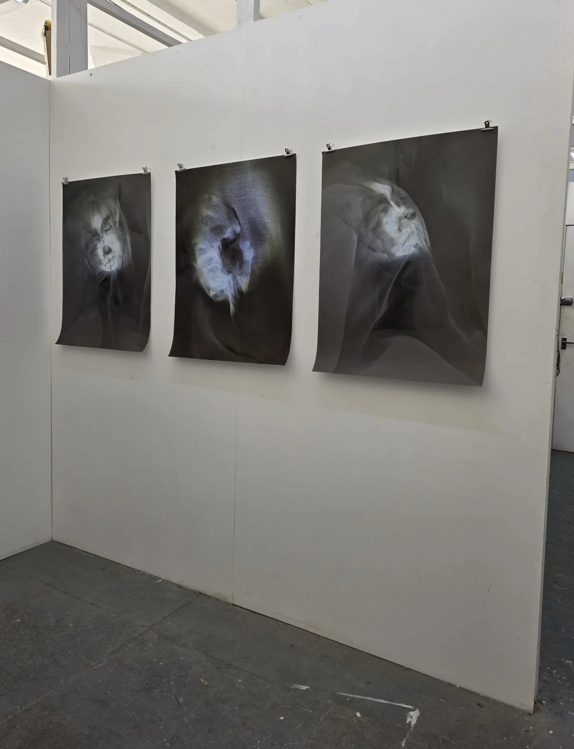 Tryptic 1 North Gallery, 2025 - install.jpg