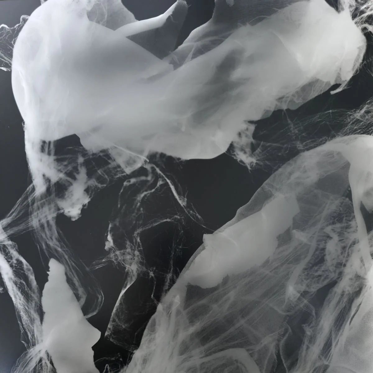 Sonia Thomas Veil 8 2025.jpg