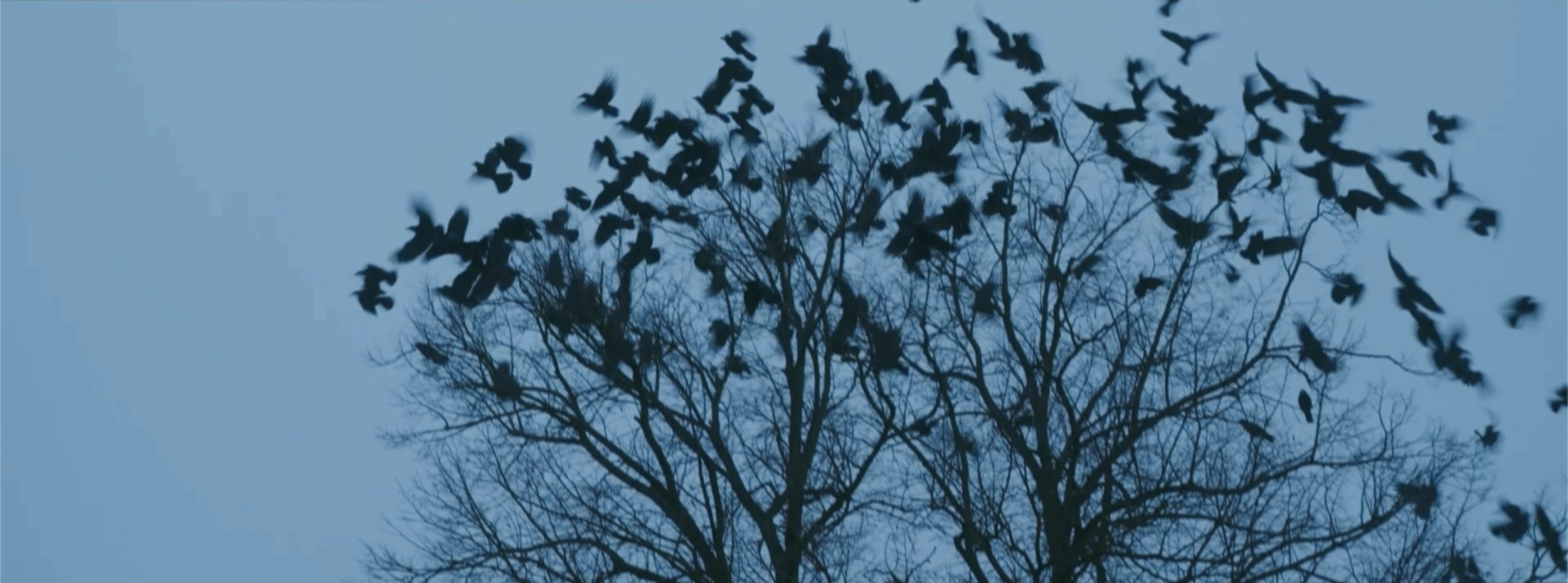 Bildschirmfoto 2026-03-08 um 20.21.34.png