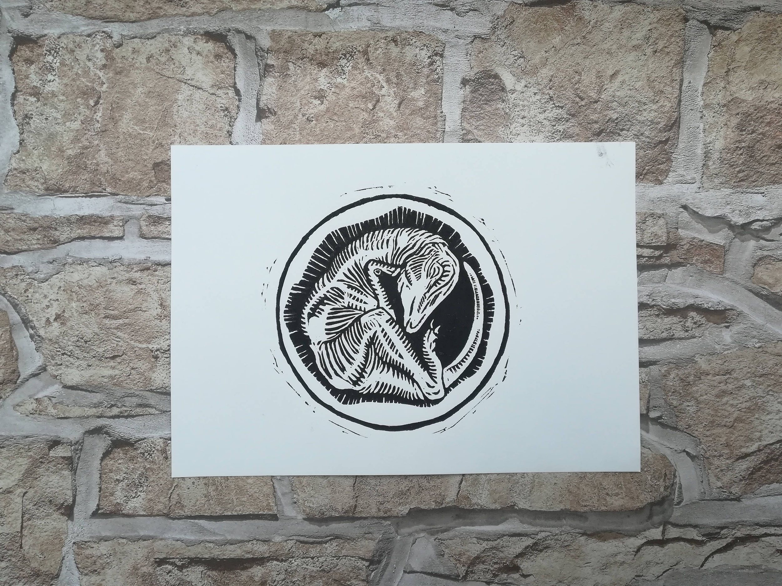 https://i.etsystatic.com/8930761/r/il/fe3691/1397645848/il_fullxfull.1397645848_bxeo.jpg