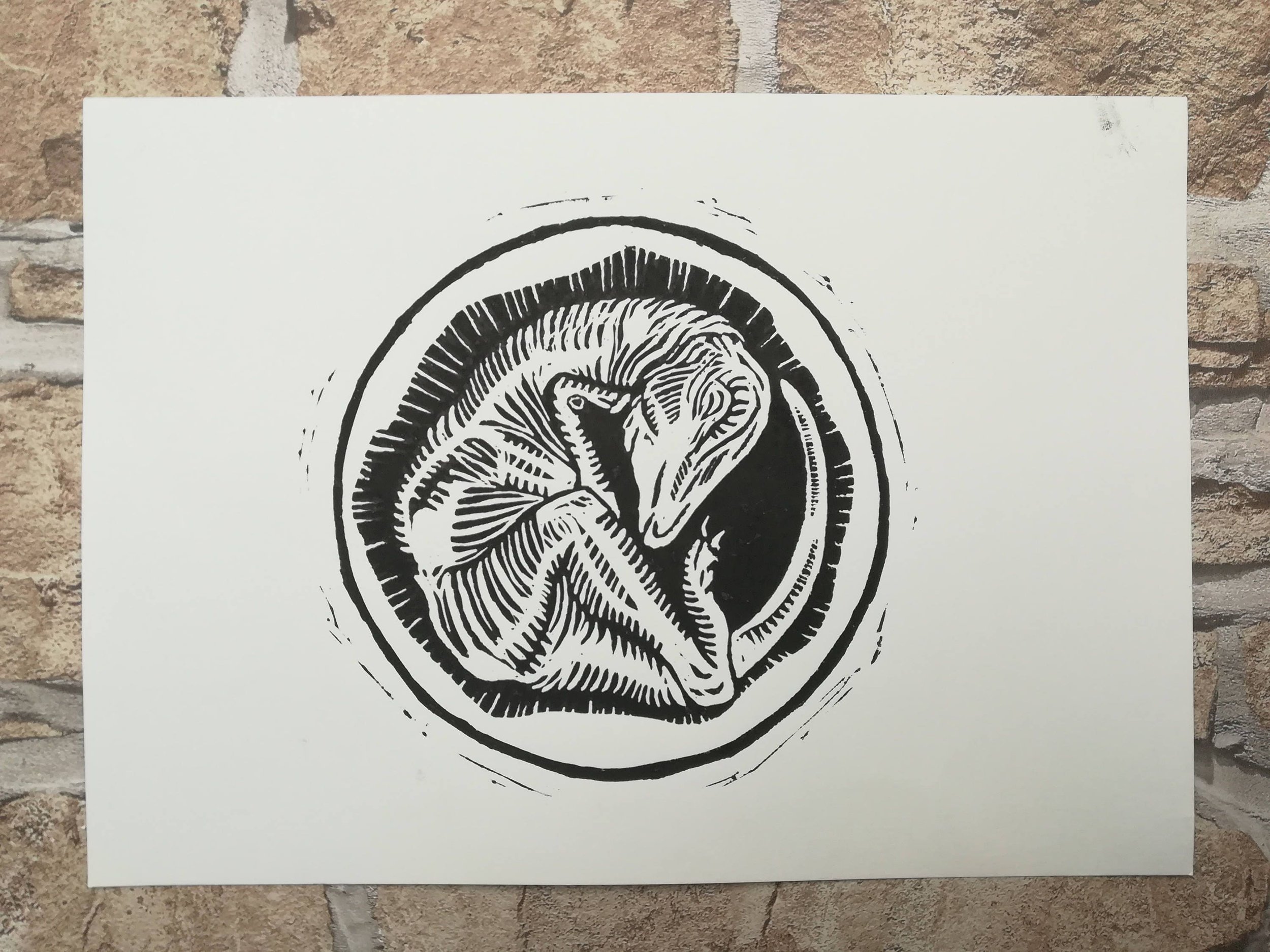 https://i.etsystatic.com/8930761/r/il/367ace/1397645984/il_fullxfull.1397645984_d6td.jpg
