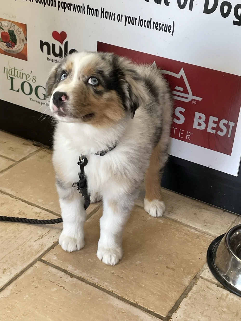 The Vault Pet Supplies