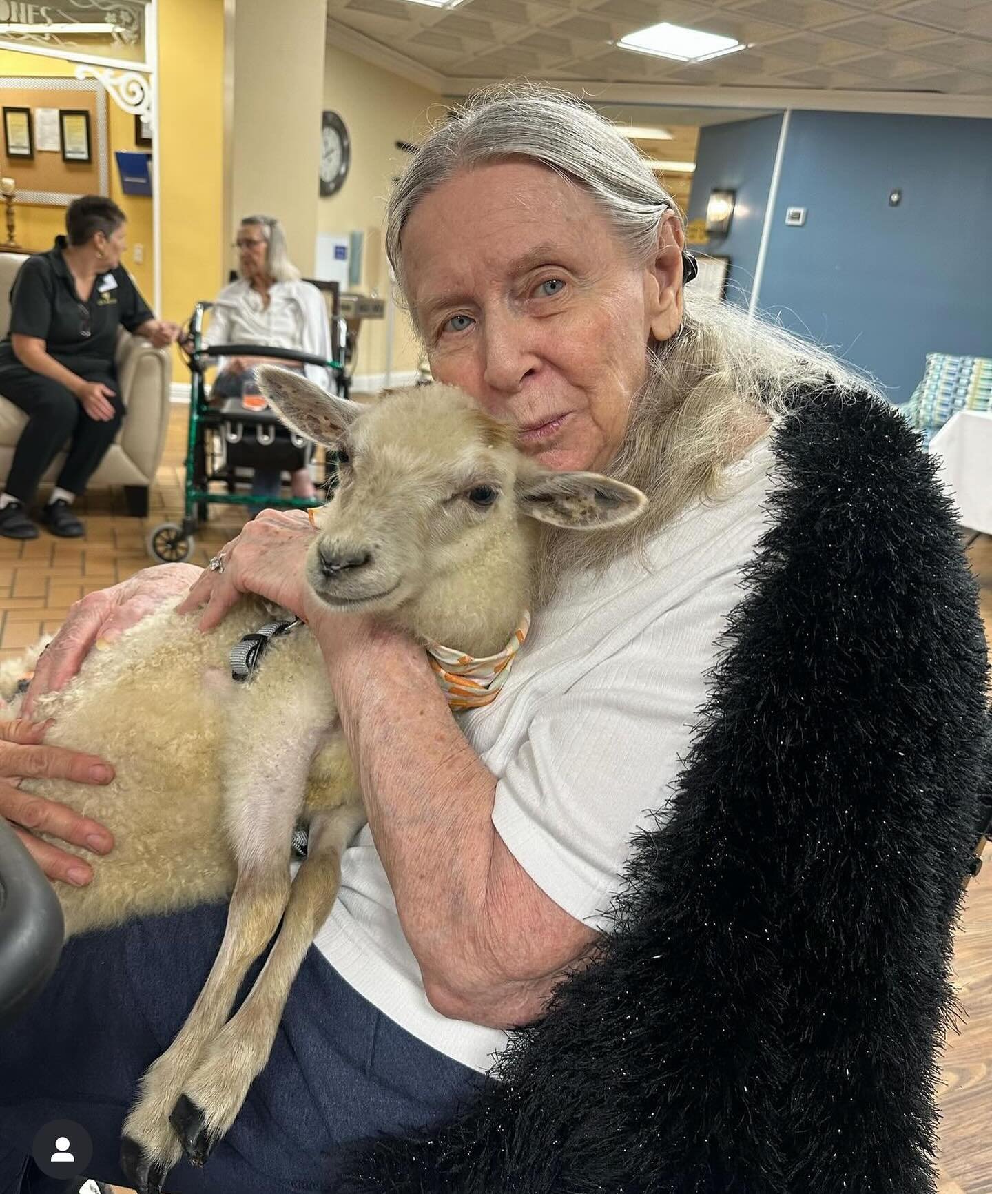 There is nothing that makes my heart more happy than to see what animals can do for the soul. There is an unspoken understanding that can heal and uplift spirits. This was one of our first visits to Elance assisted living. The lambs were so small tha