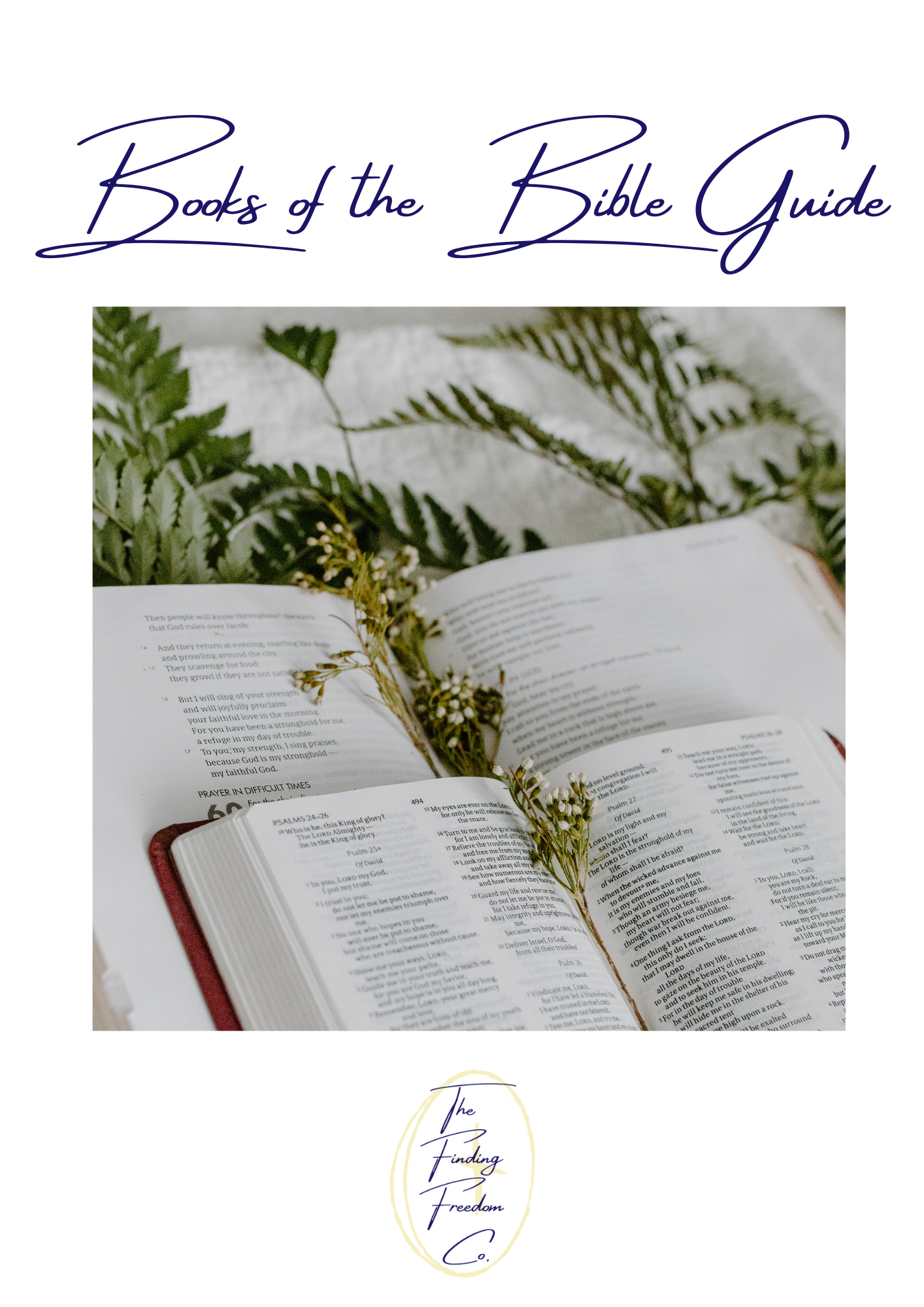 2 Bibles stacked on top of a blanket with leaves and flowers spread around it. Text says "Books of the Bible Guide" by The Finding Freedom Co.