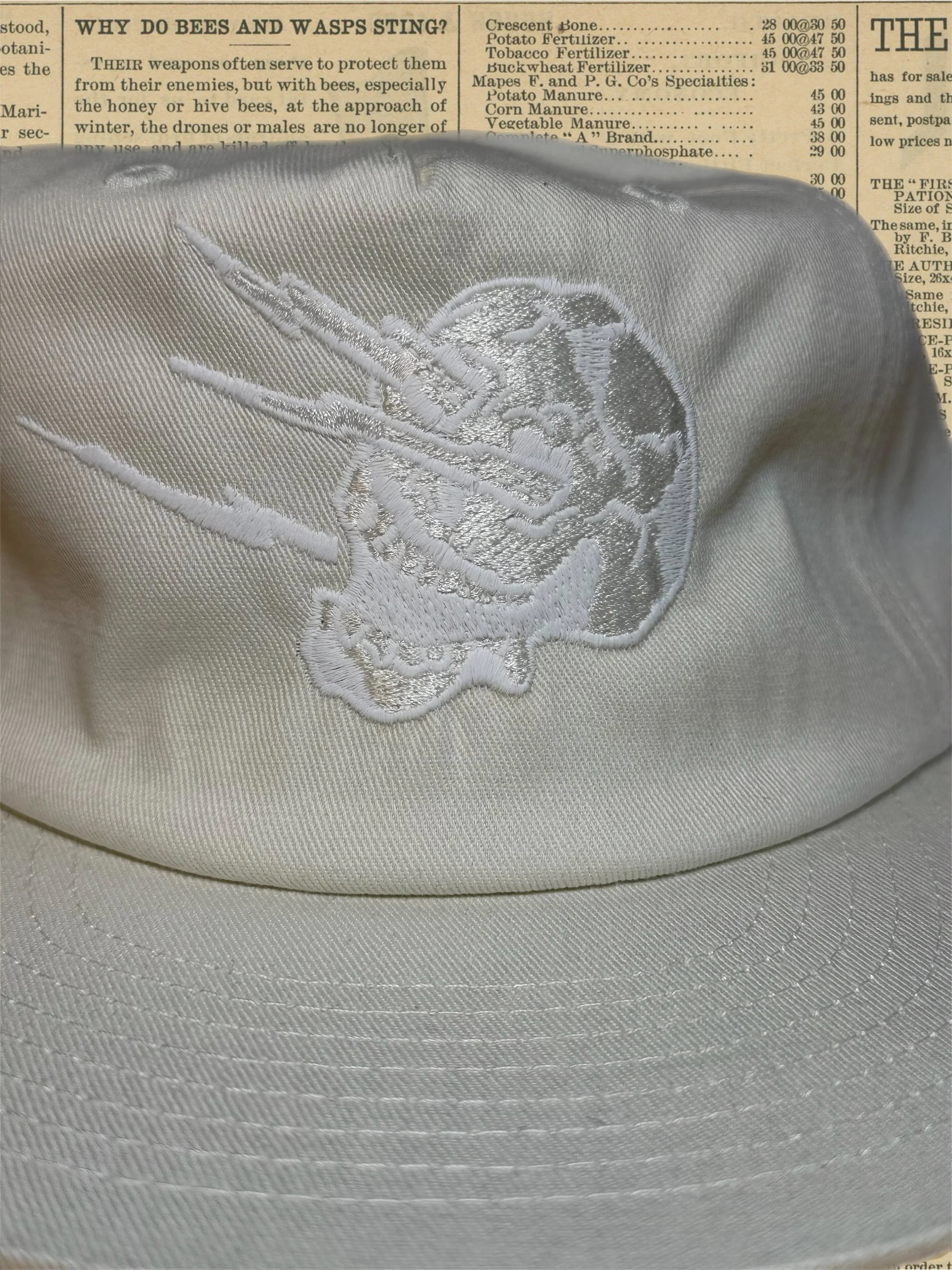 Bazaart_2026-10-13_212245.JPEG