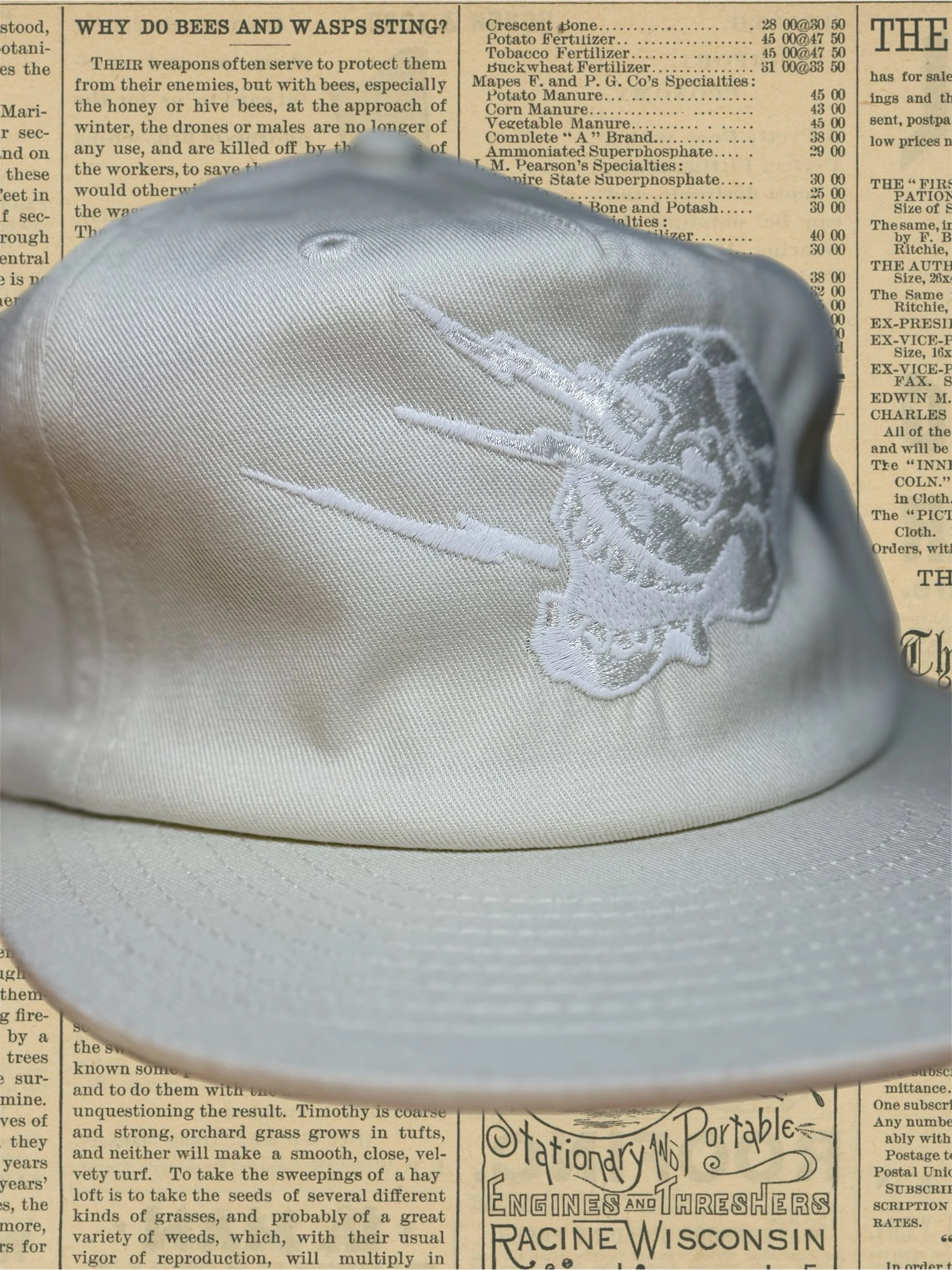 Bazaart_2026-10-13_212322.JPEG
