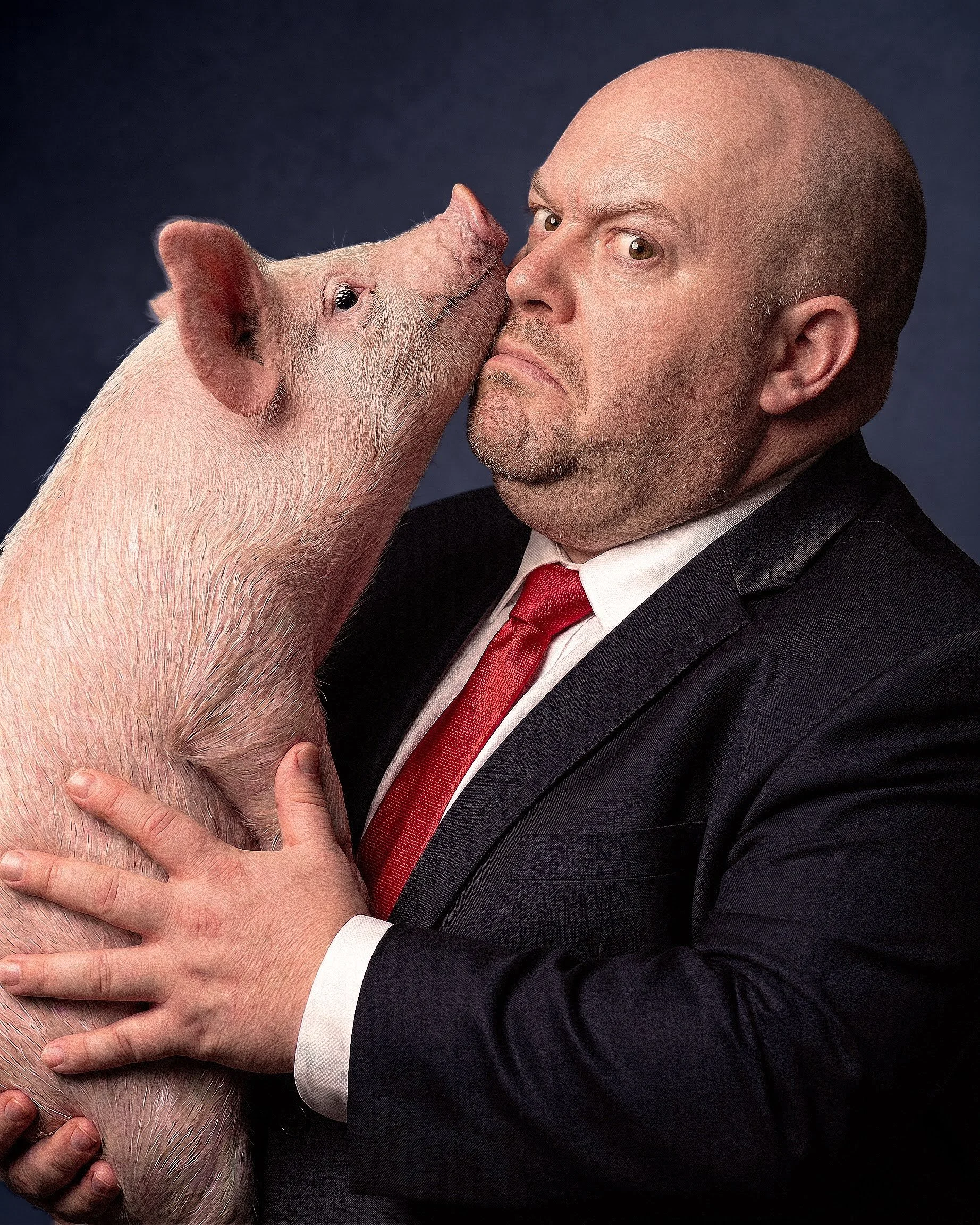 Porcine Politicians: Corey J. Willis