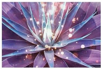 Embodying Our Divine Frequency: Restoring The Galactic Blueprint
