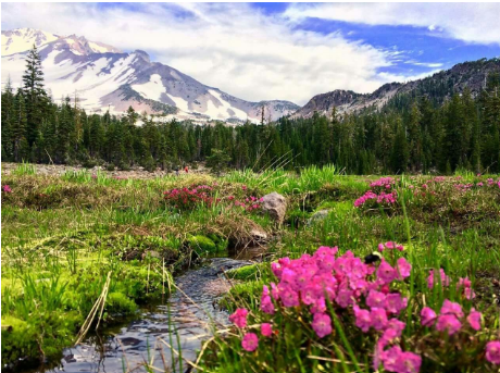 Mount Shasta Spiritual Activation Retreat