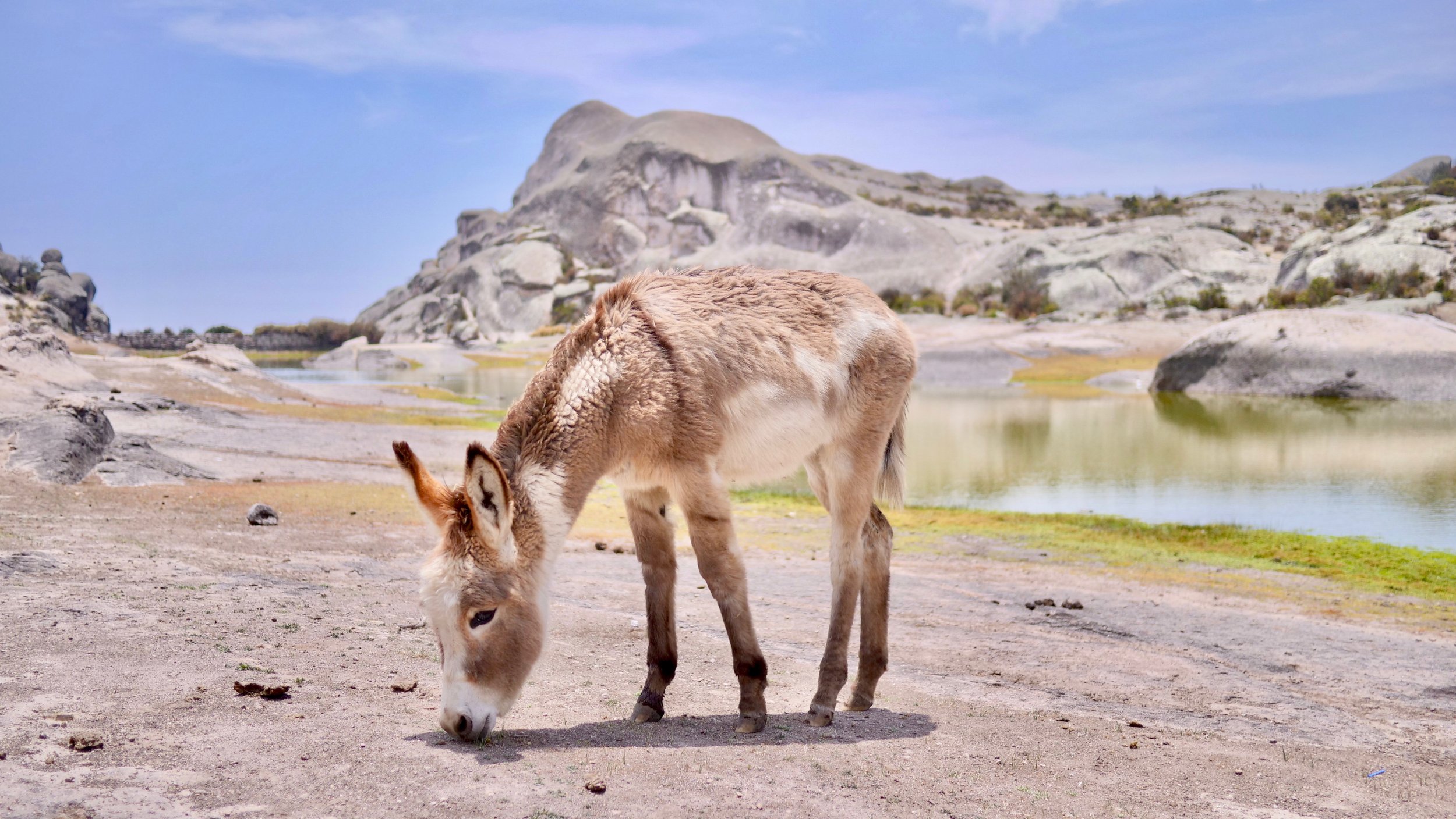 Marcahuasi, Peru