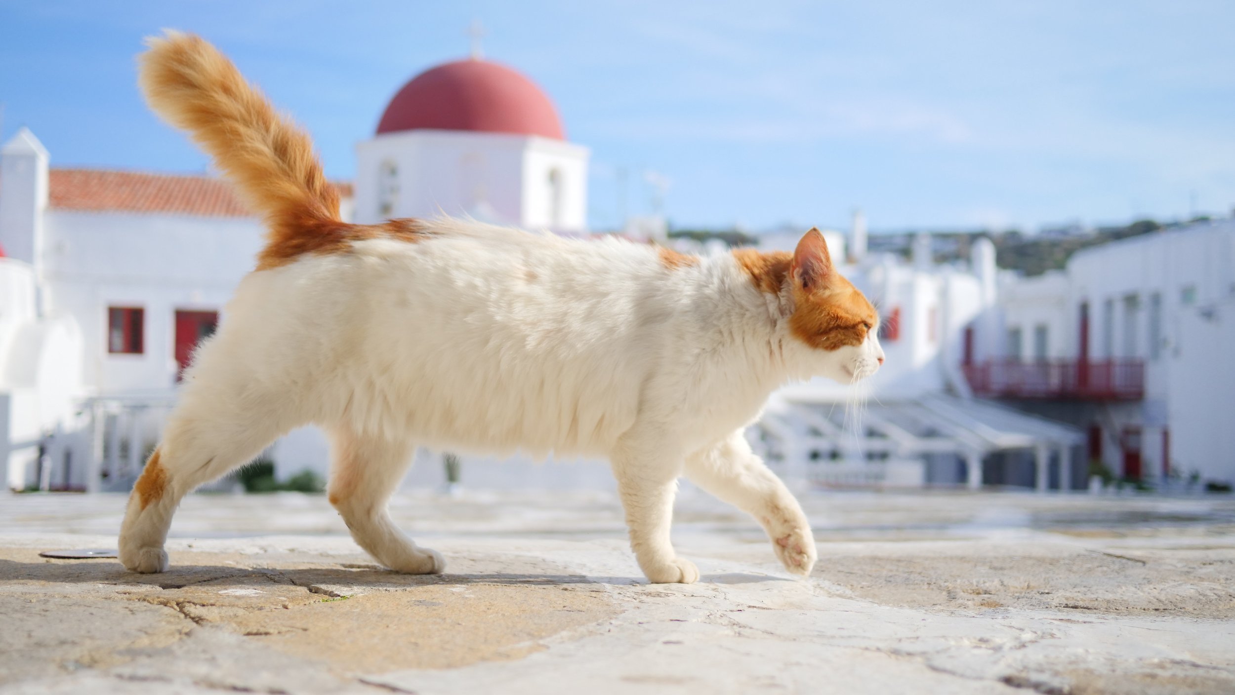 Mykonos, Greece