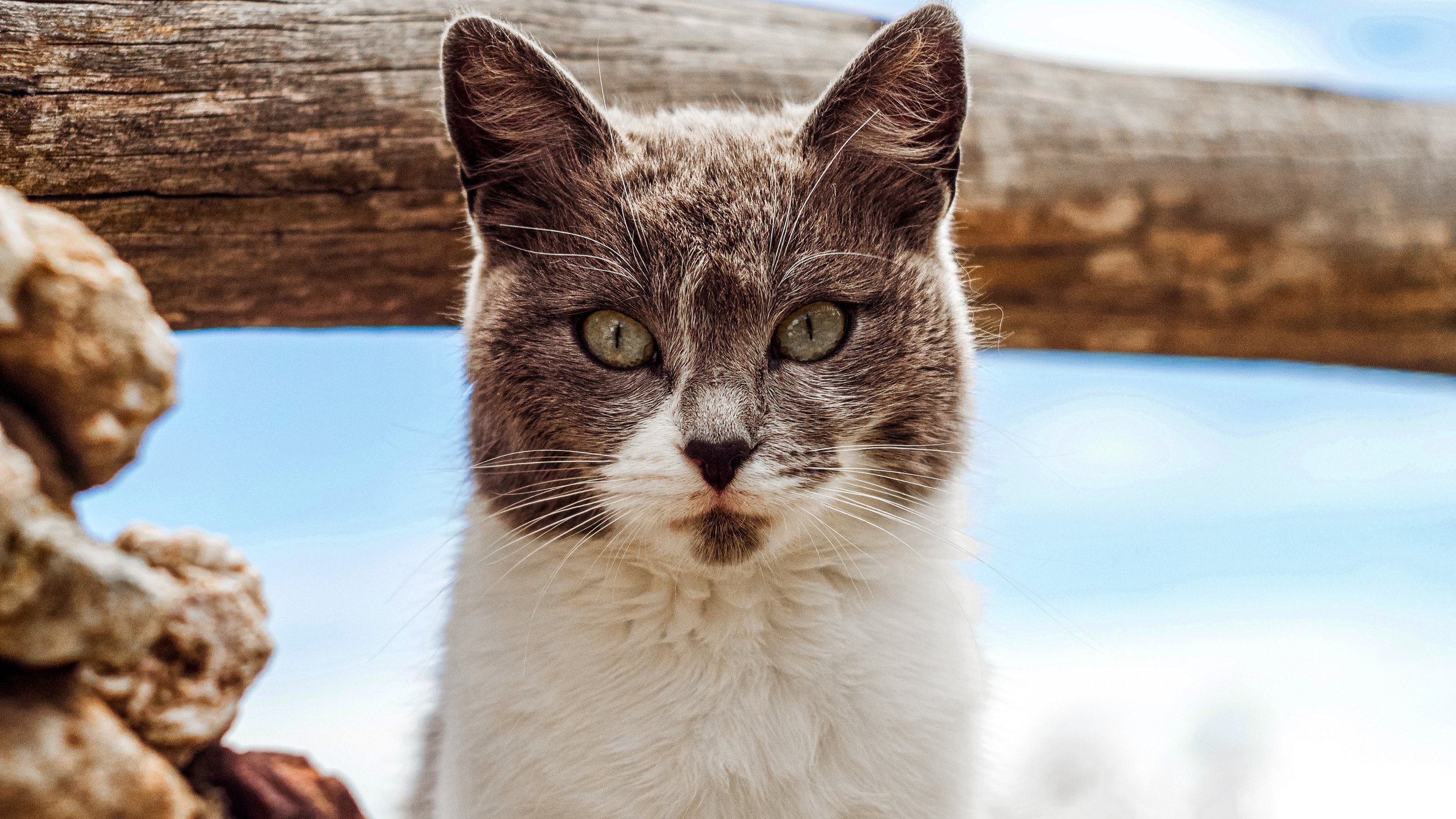 Jazmine, Isla del Sol, Bolivia