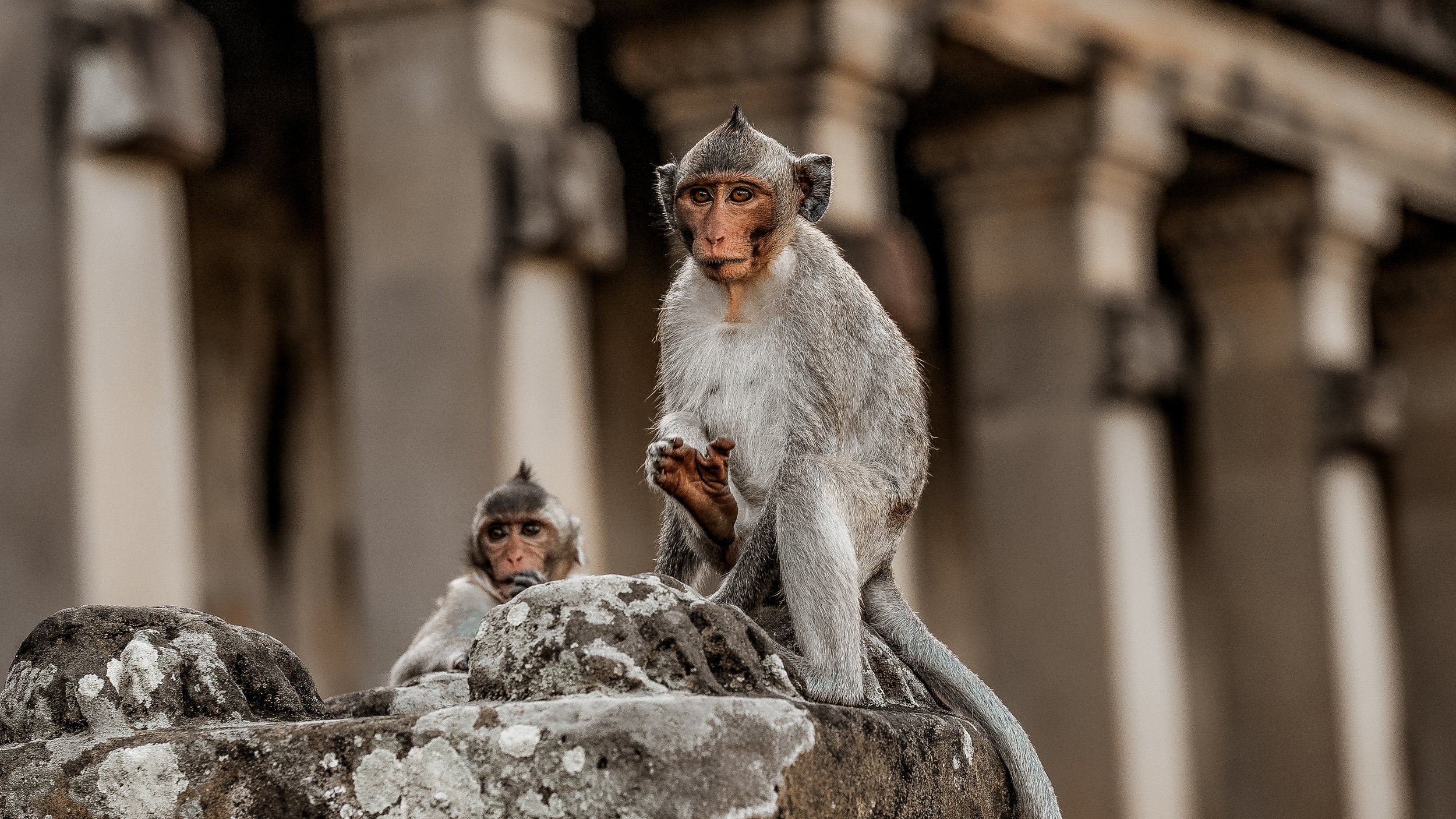 Angkor Wat, Cambodia