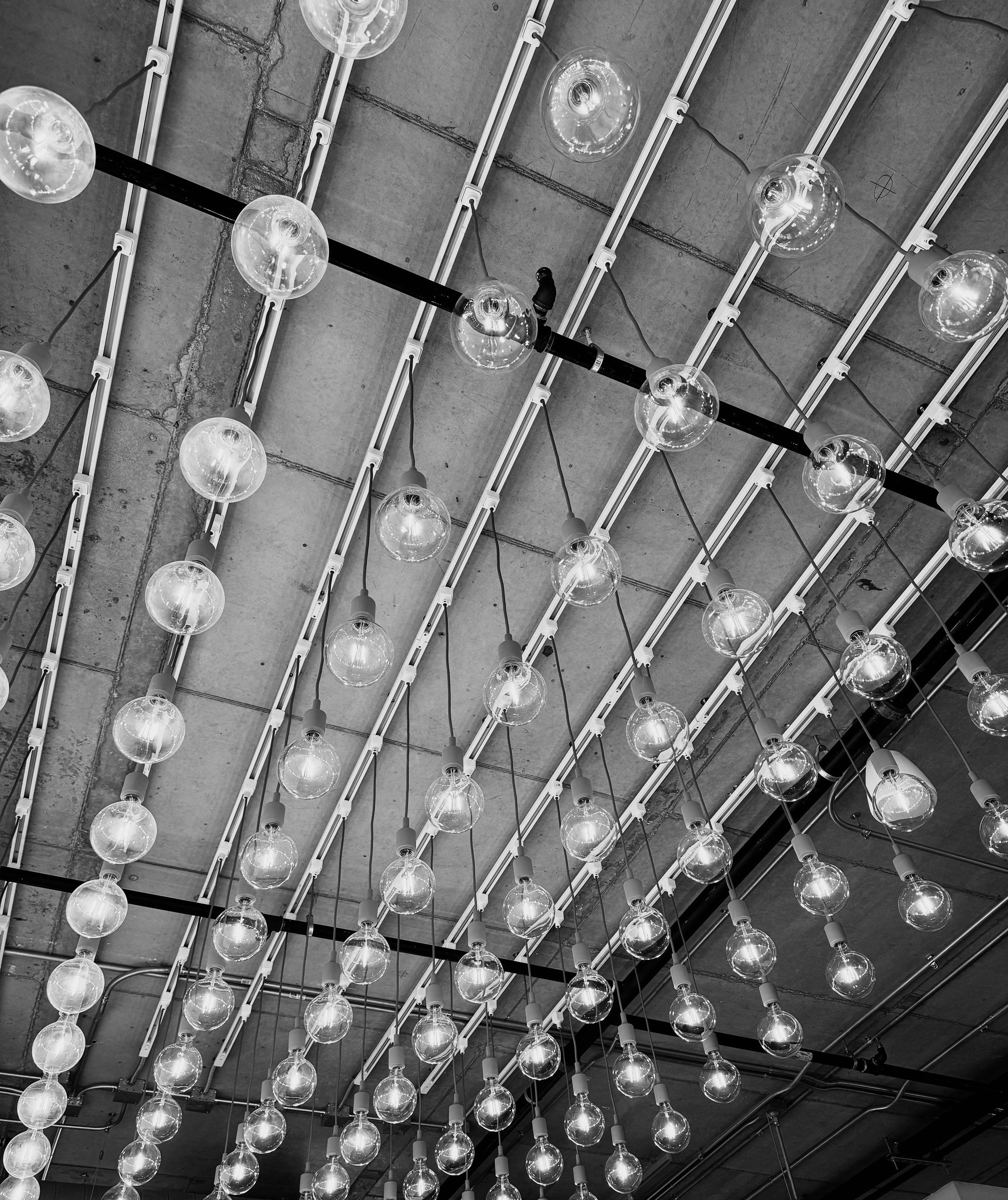 Knoll Showroom Chicago, IL. Taken on iPhone 15 Pro