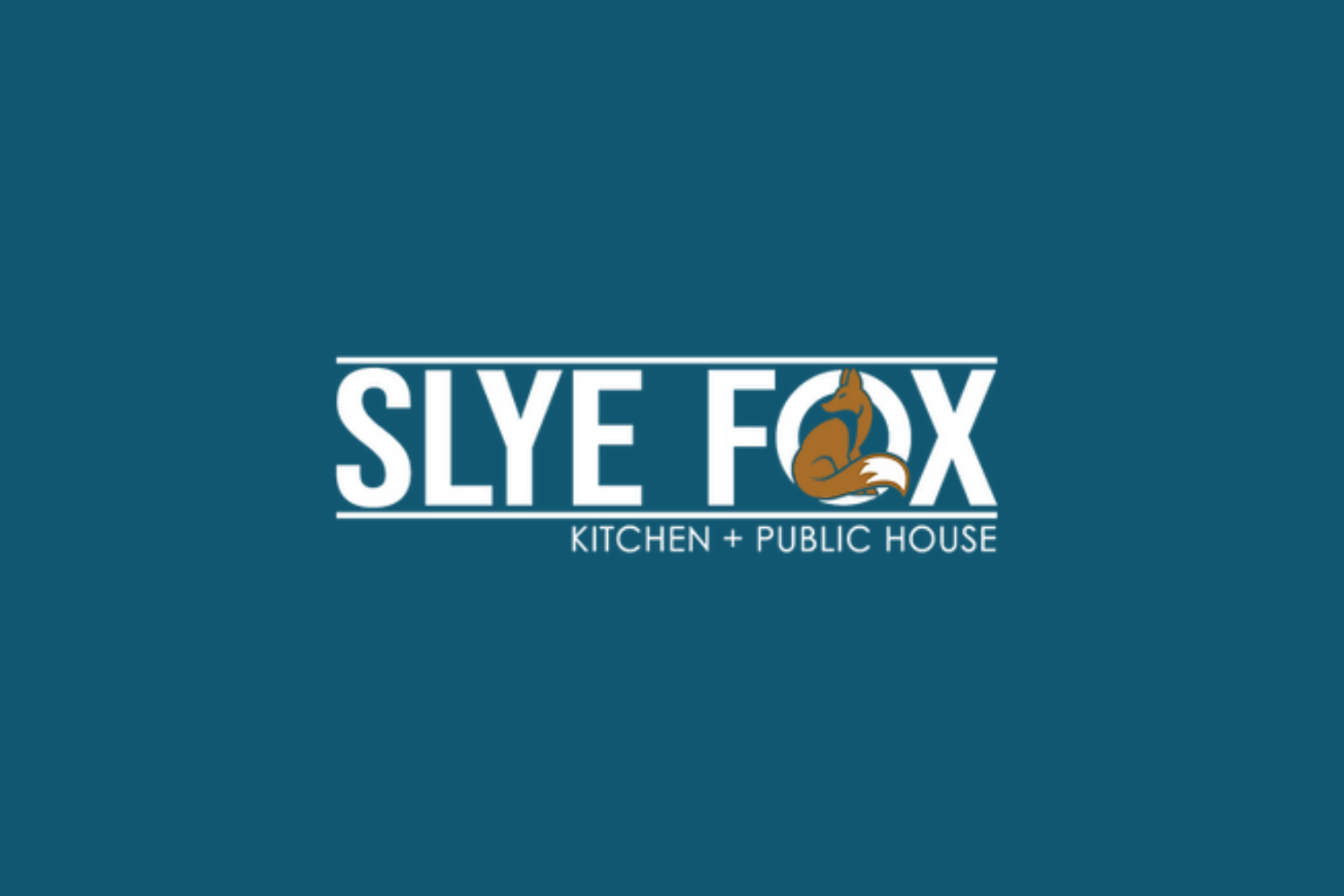 Slye Fox Binbrook - Acoustic Show