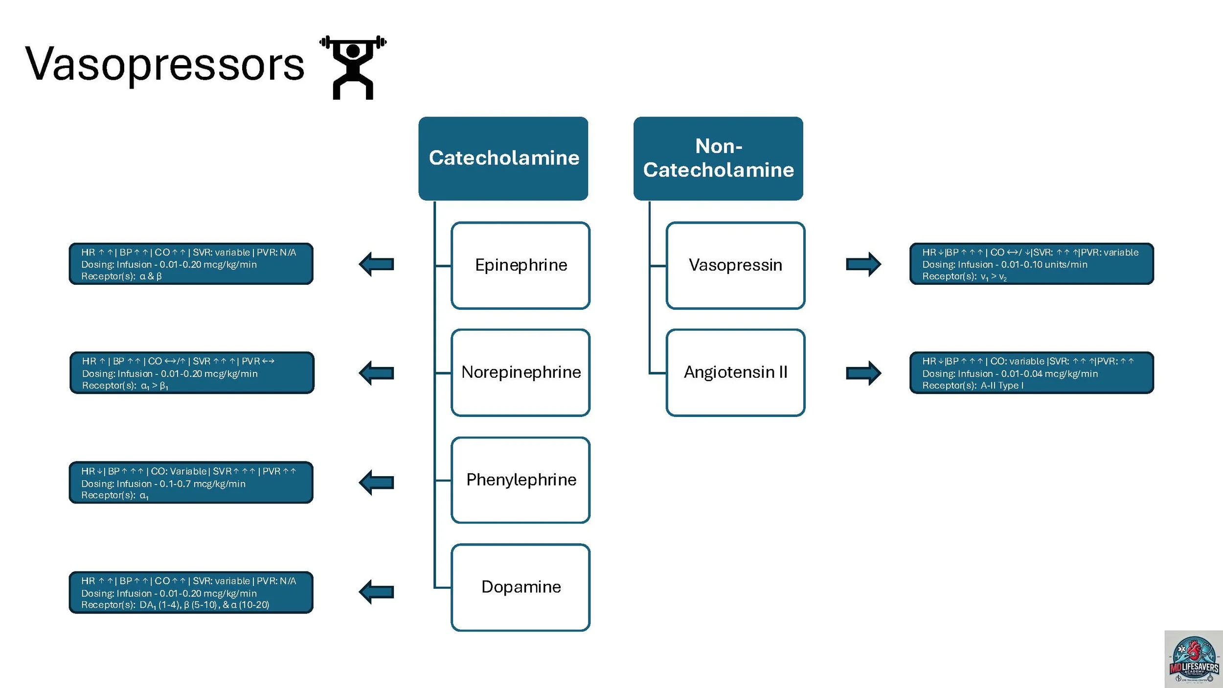 Vasopressor Cheat Sheet