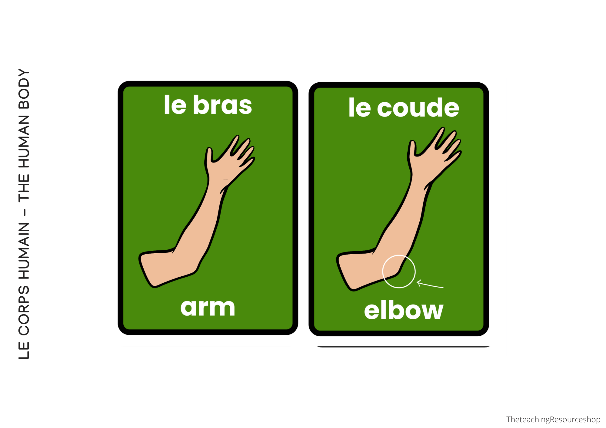 Irregular Verb Flashcards-27.png
