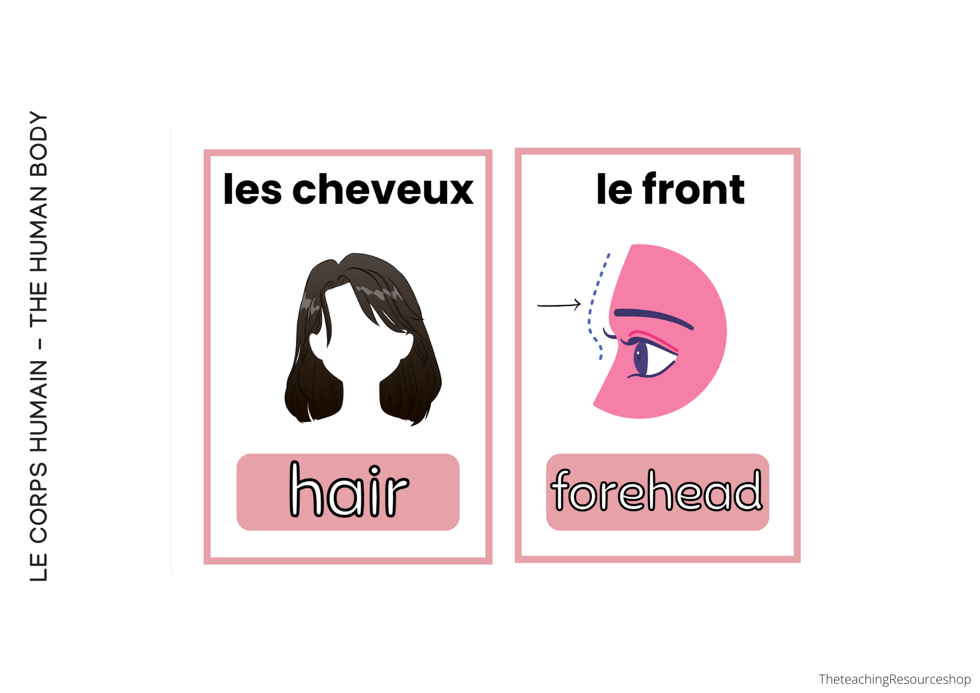 Irregular Verb Flashcards-29.png