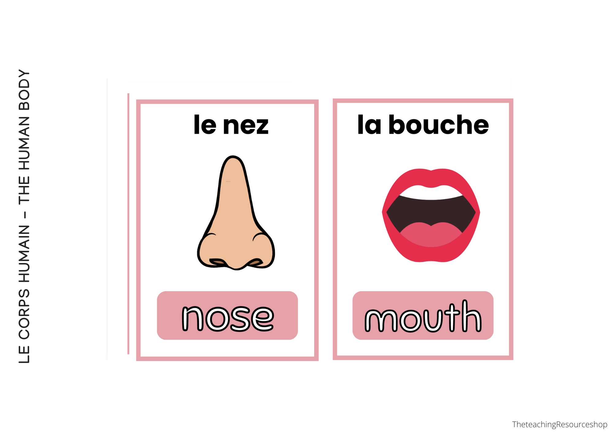 Irregular Verb Flashcards-32.png