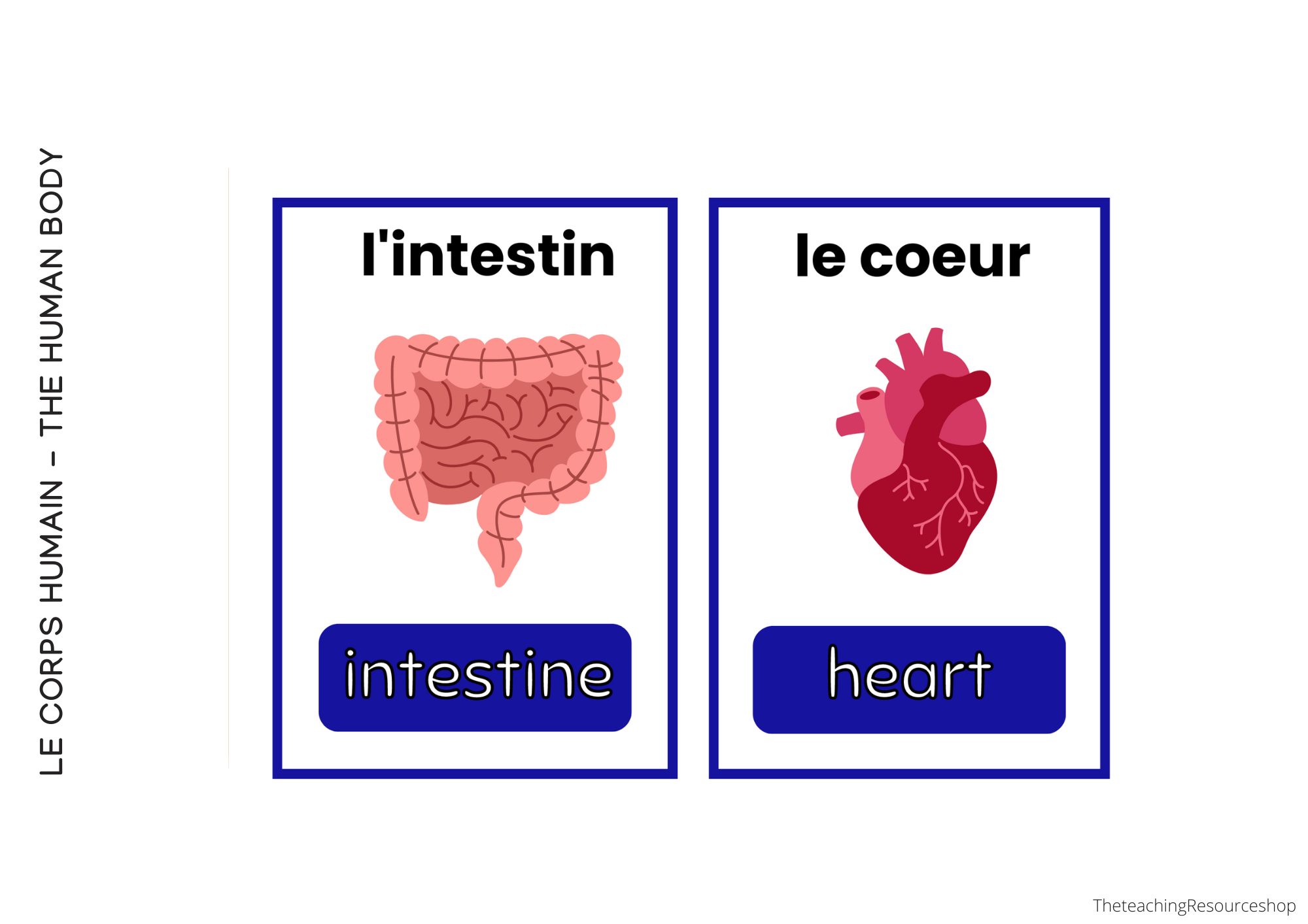 Irregular Verb Flashcards-34.png