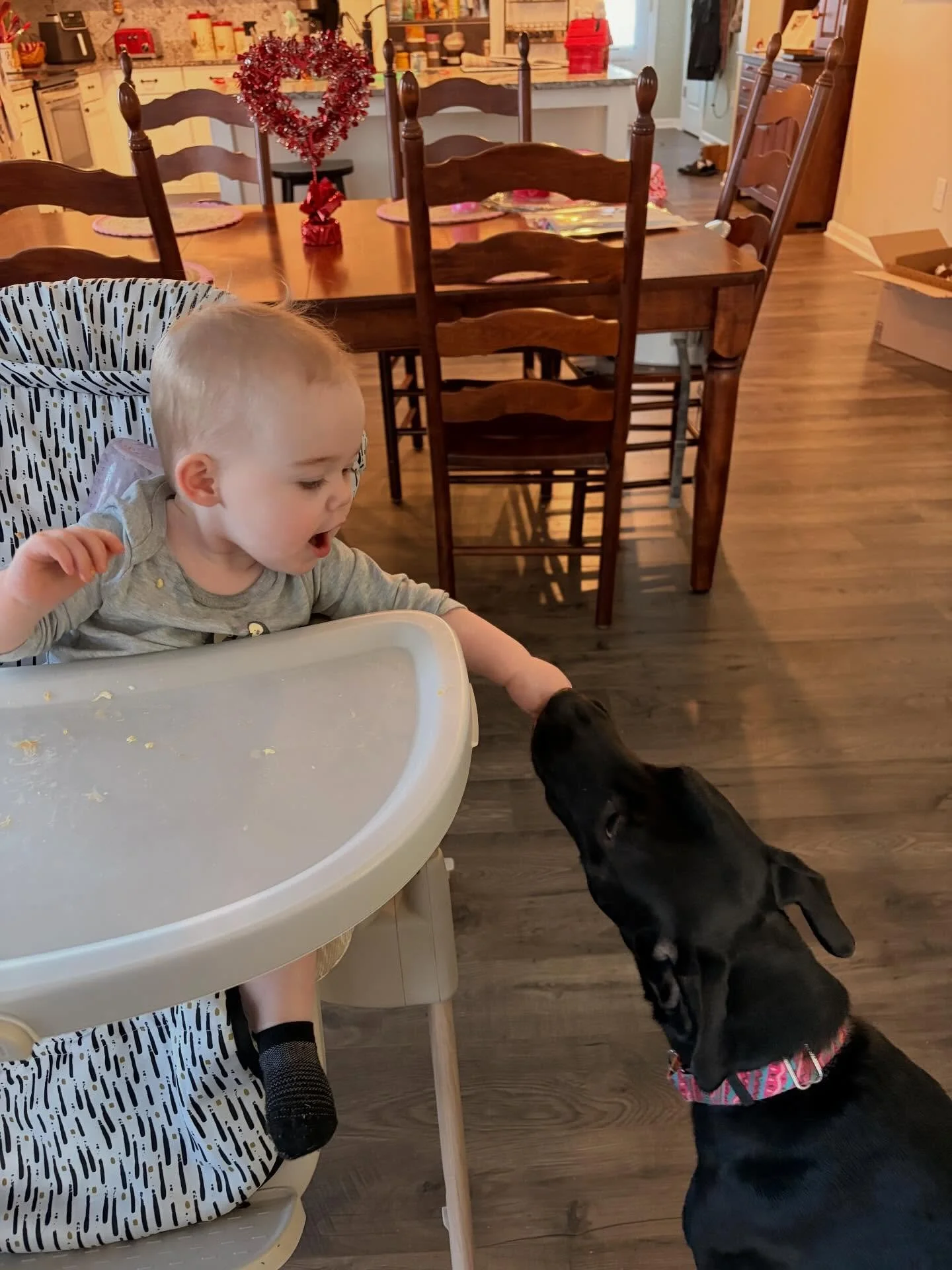 When you think your baby is a good eater, and it turns out she&rsquo;s formed an alliance with the dog.