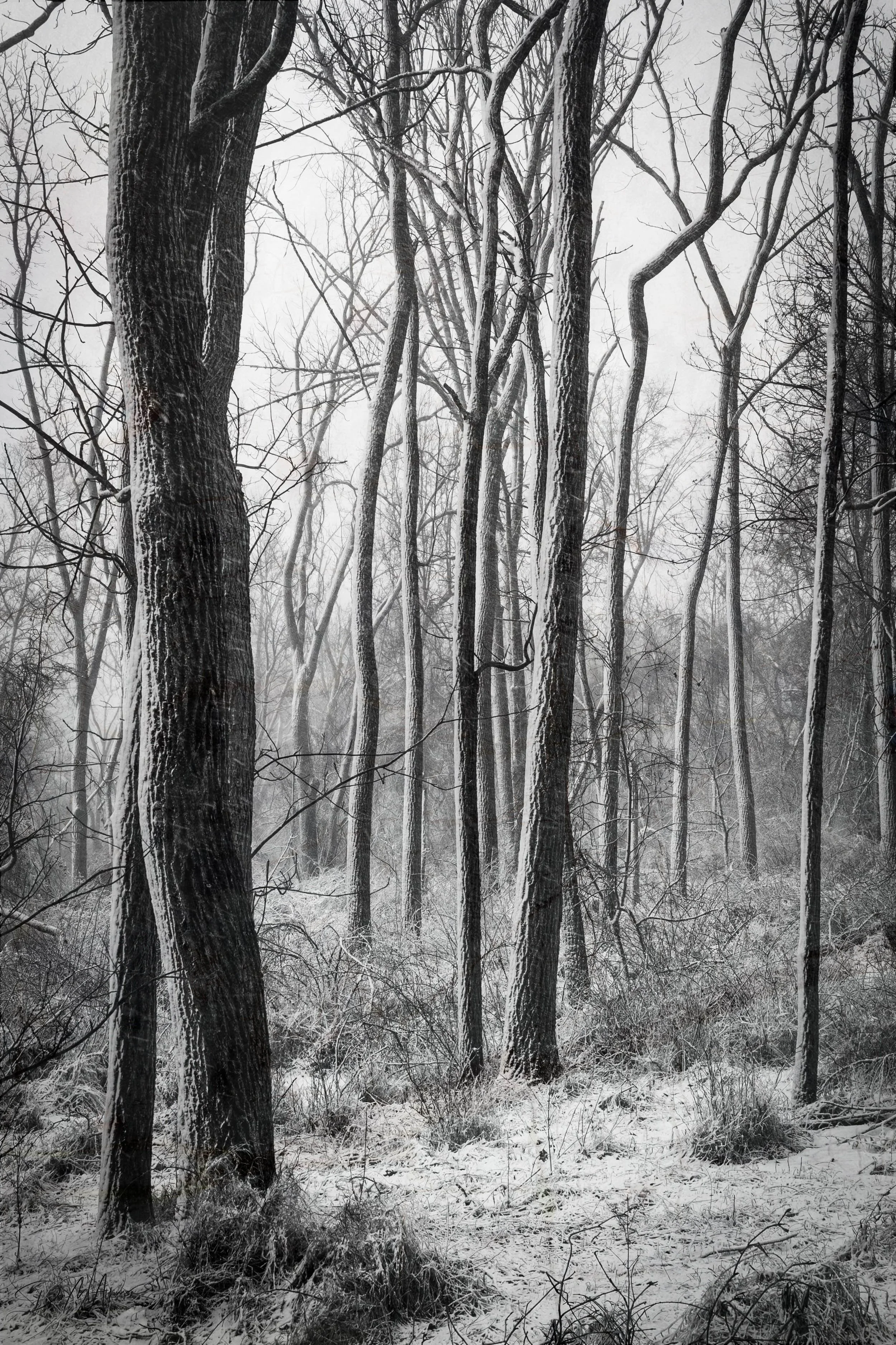2E5A6961-Edit.jpg