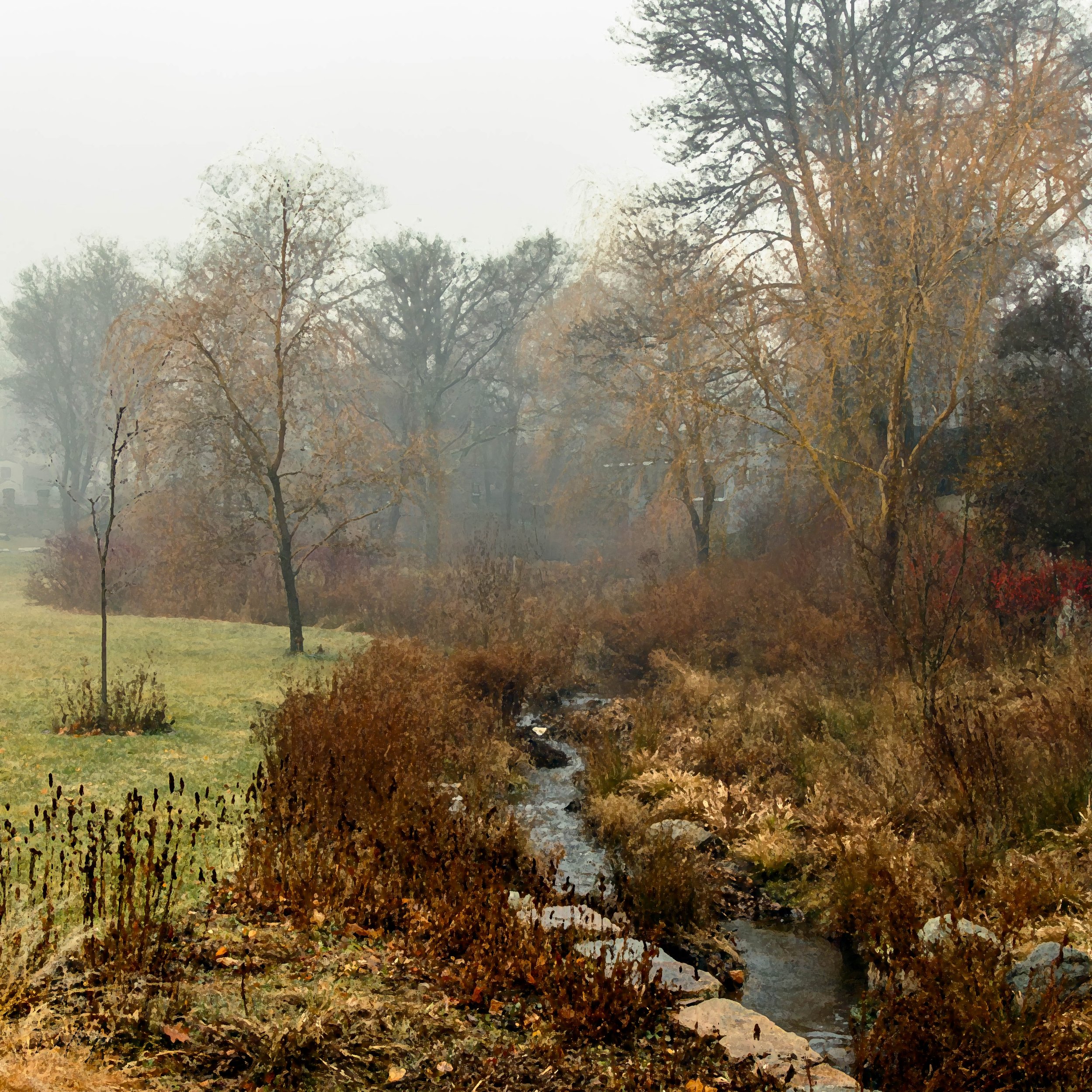 _E5A4216-Enhanced-NR-Edit-2.jpg